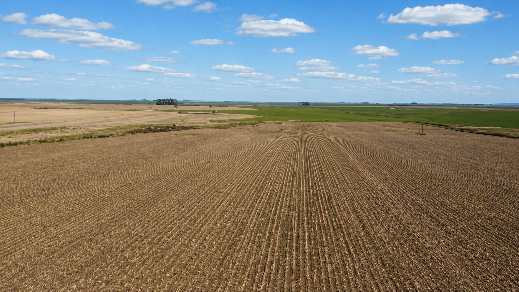 2250 Has, Establecimiento completo, agricola gandero