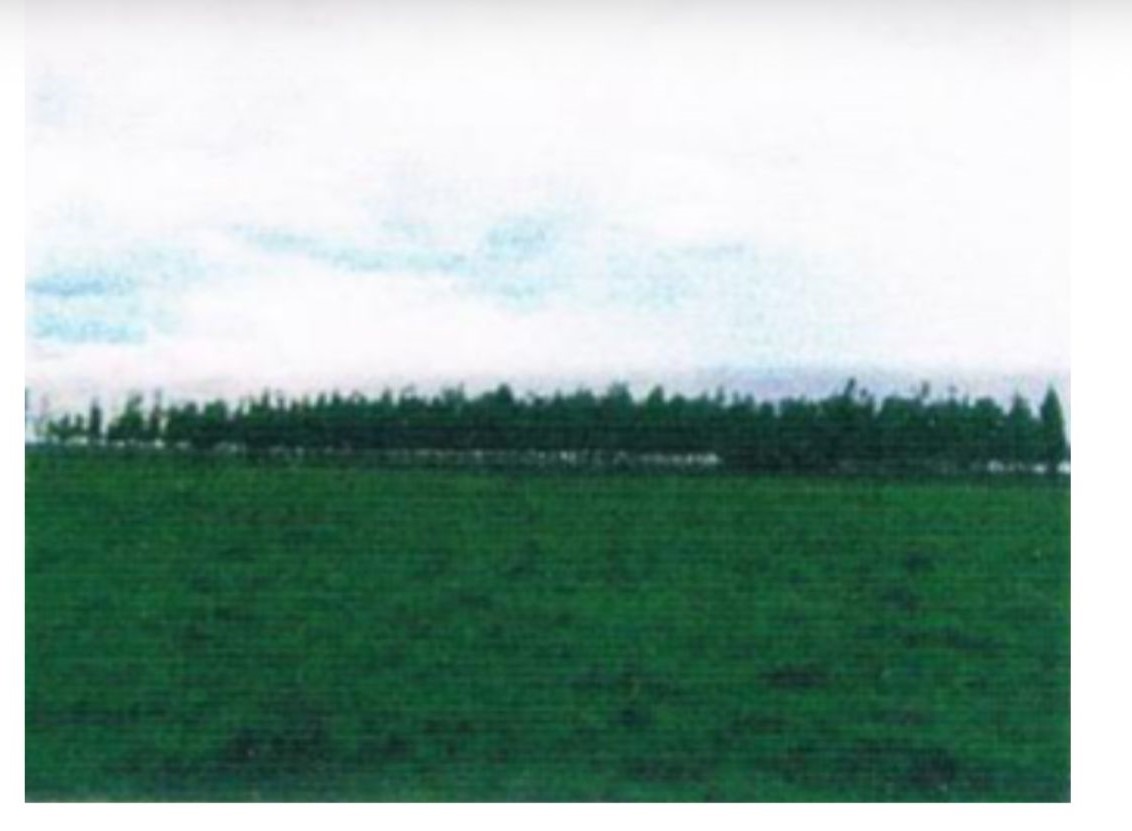 Campo en venta – Paysandú - Imagen 1