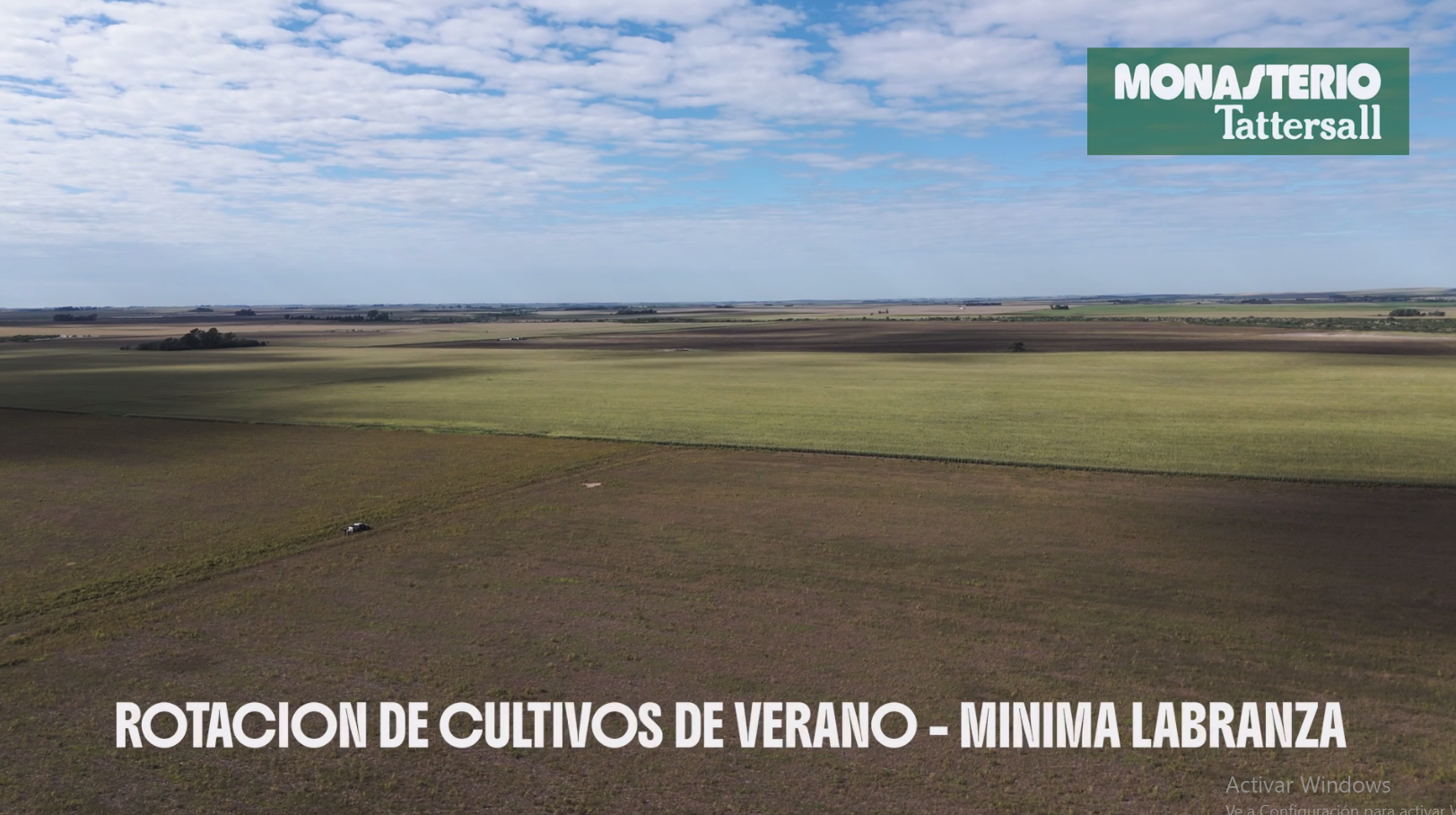 Achiras  -  100% Agrícola - Imagen 3