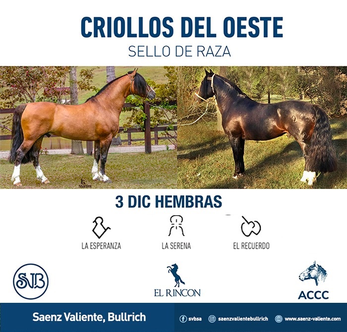 Criollos del Oeste - Hembras