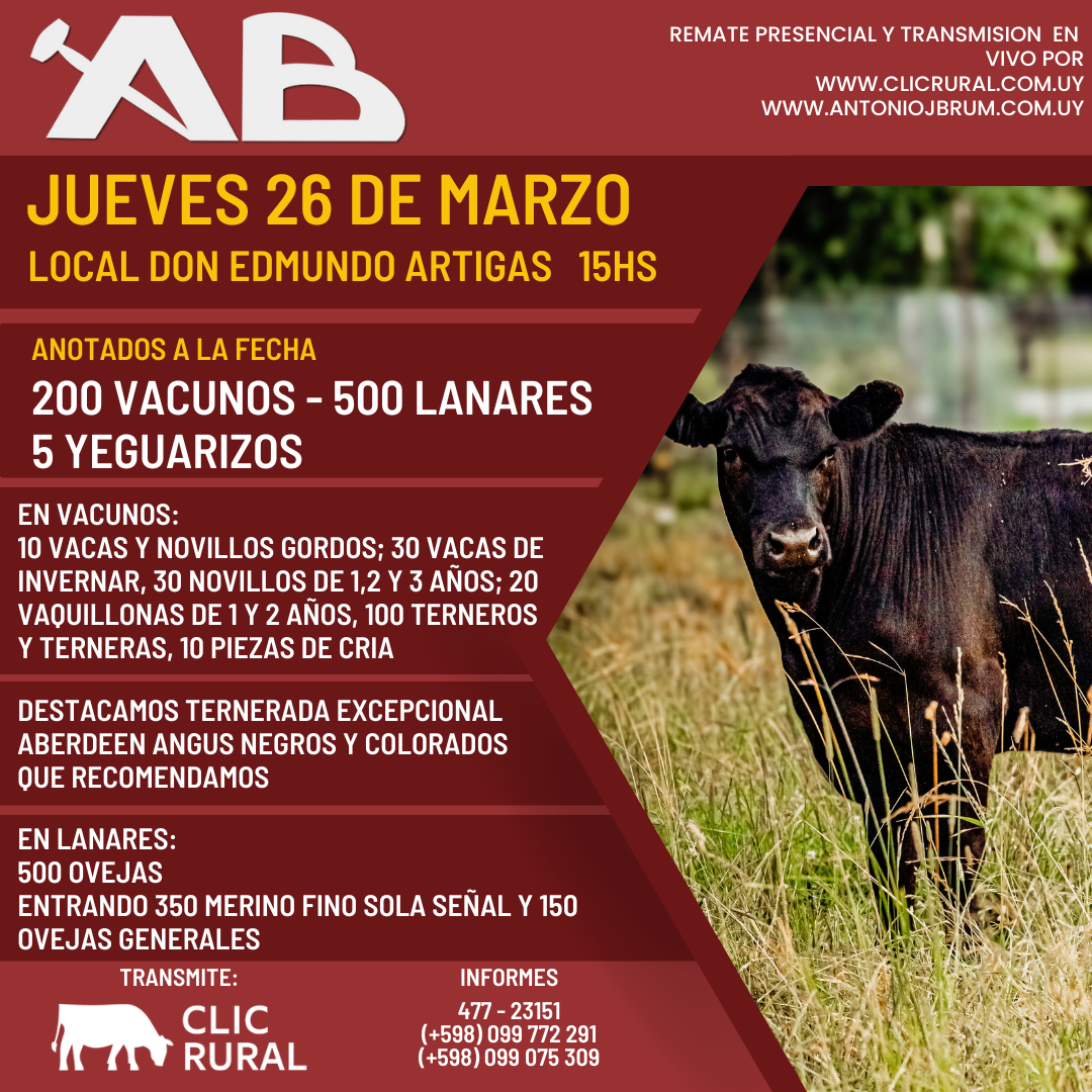 Remate Feria Mensual - Antonio J Brum