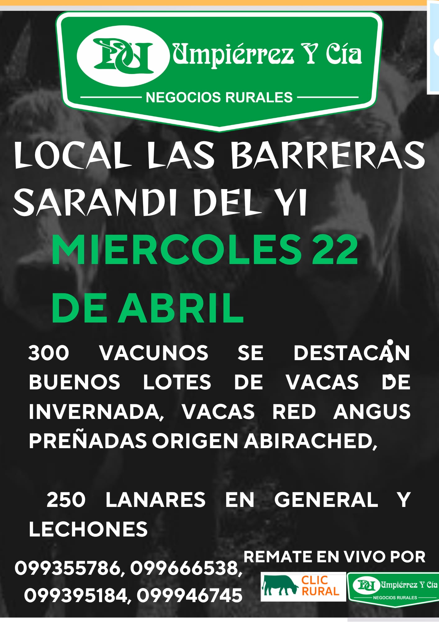 Feria Mensual - Umpierrez y Cia