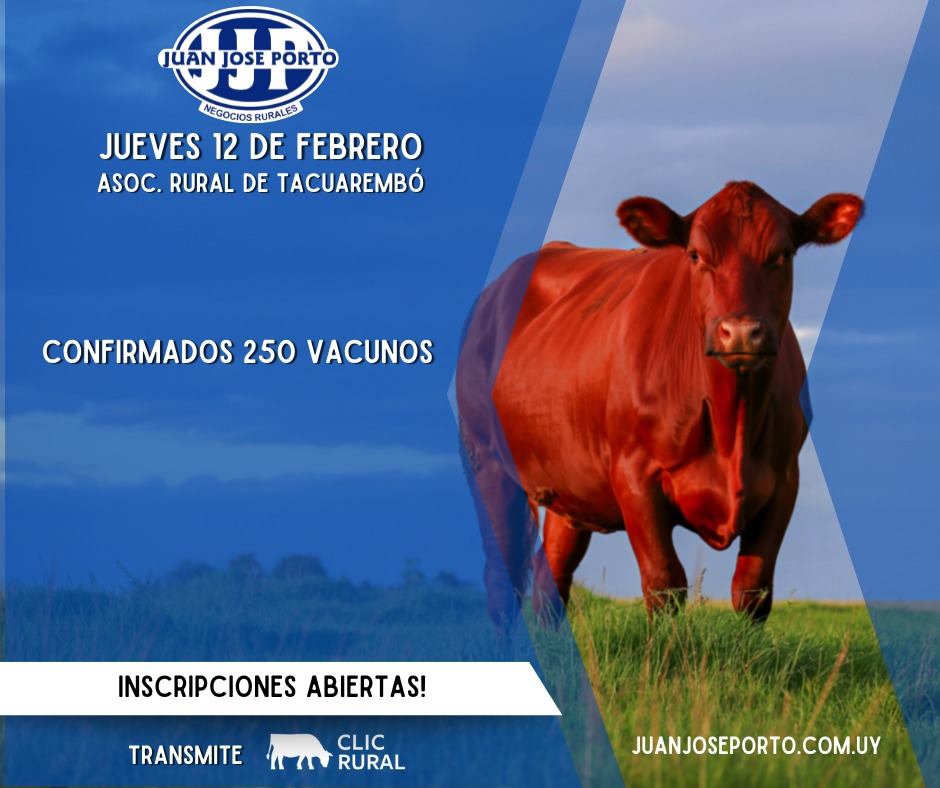 Remate Feria Mensual - Juan Jose Porto