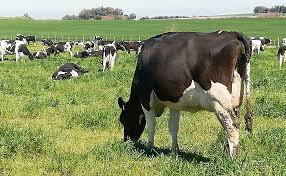 Remate Liquidacion Parcial "Cesar Torterolo y Familia"