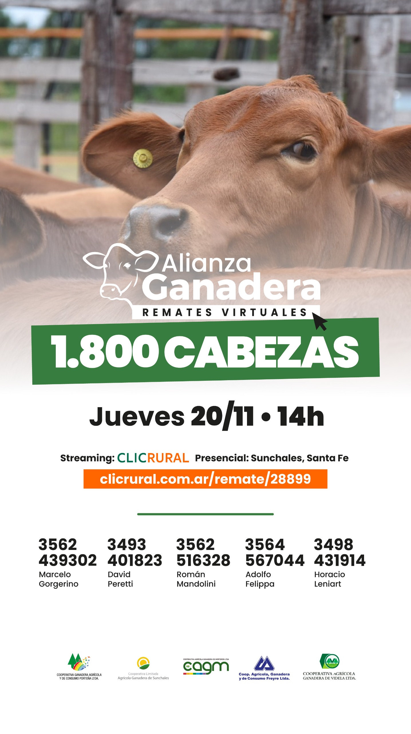 Remate Remate Virtual