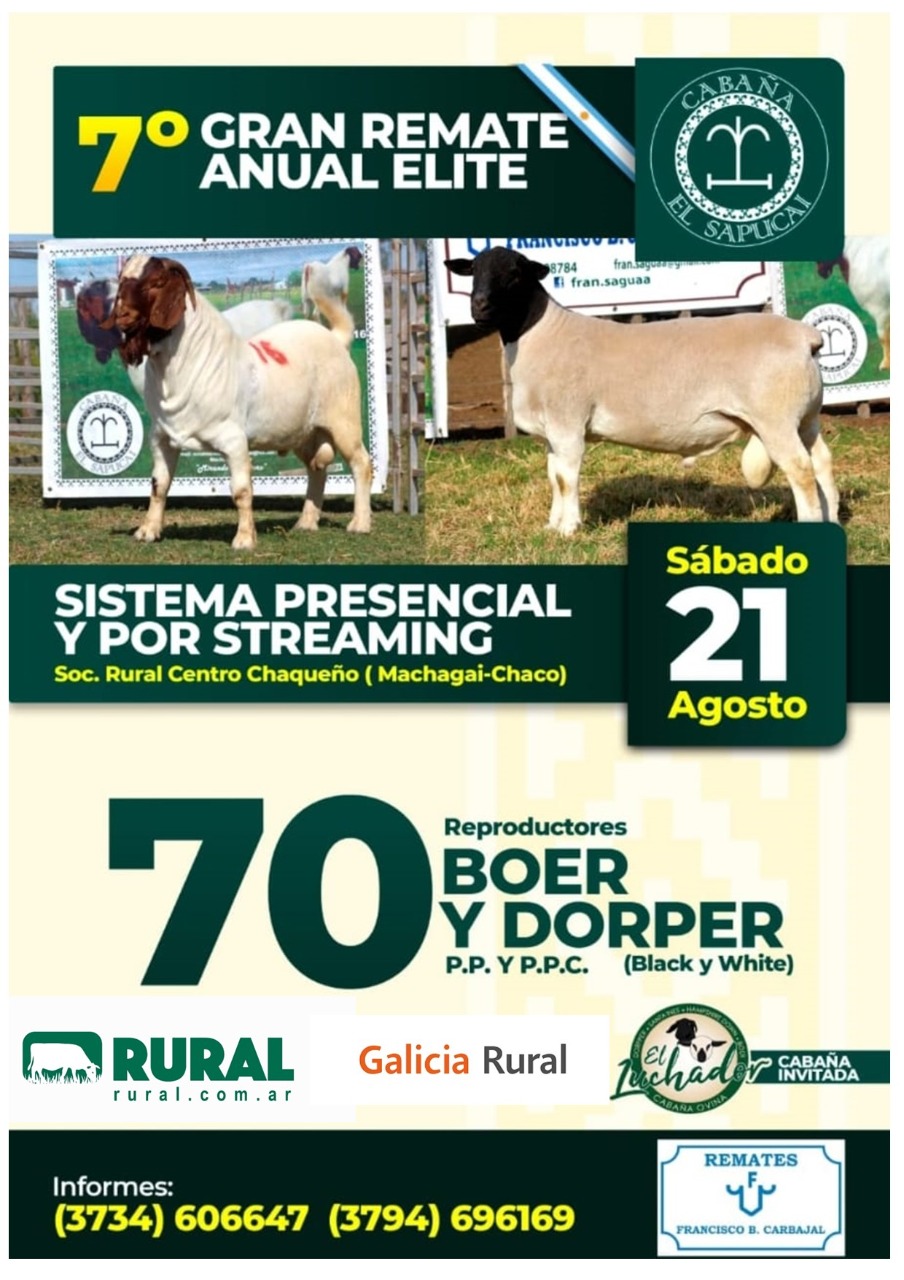 Afiche 7º Gran Remate Anual Elite - Cabaña El Sapucai