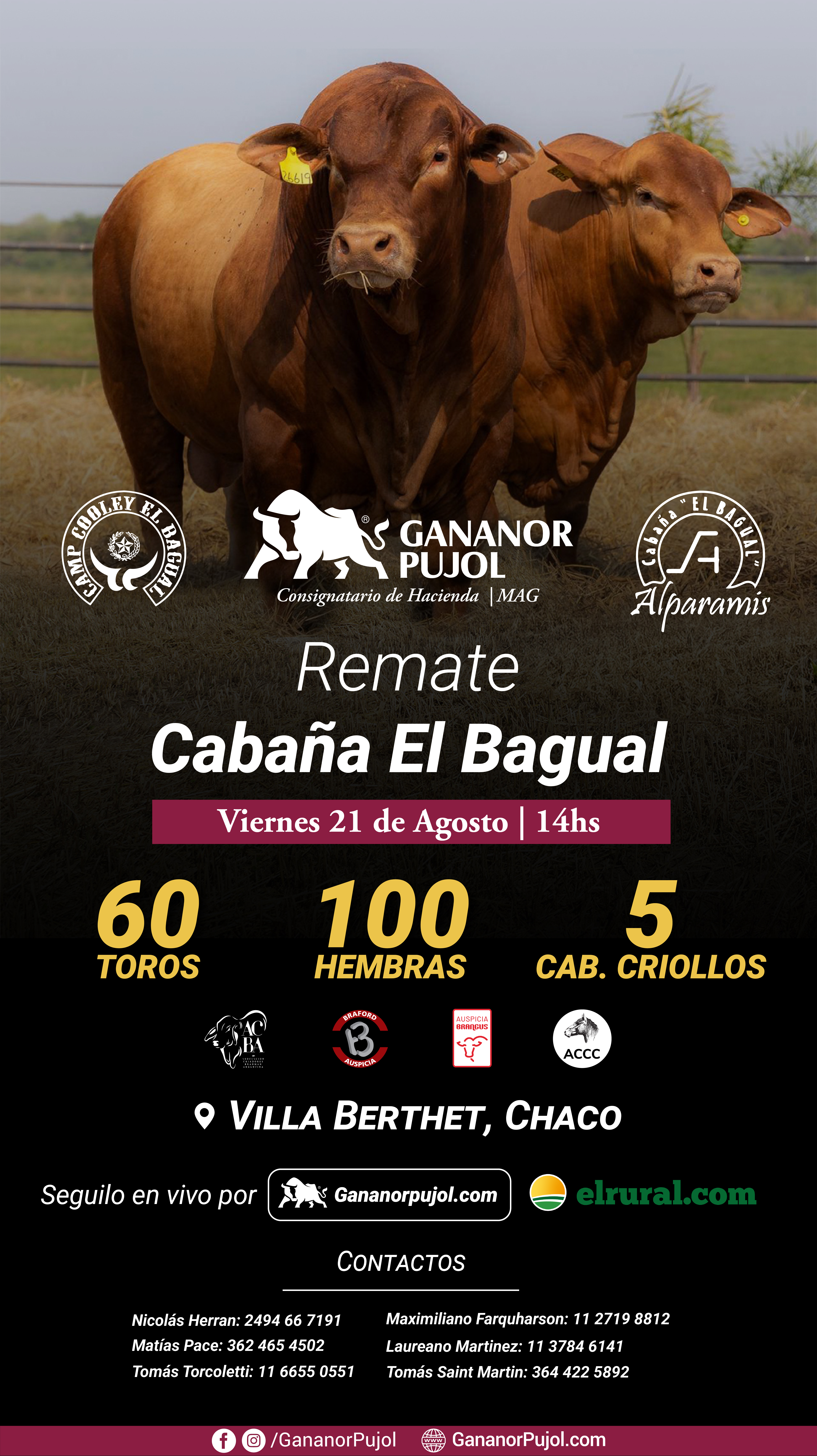 Remate Remate Cabaña El Bagual
