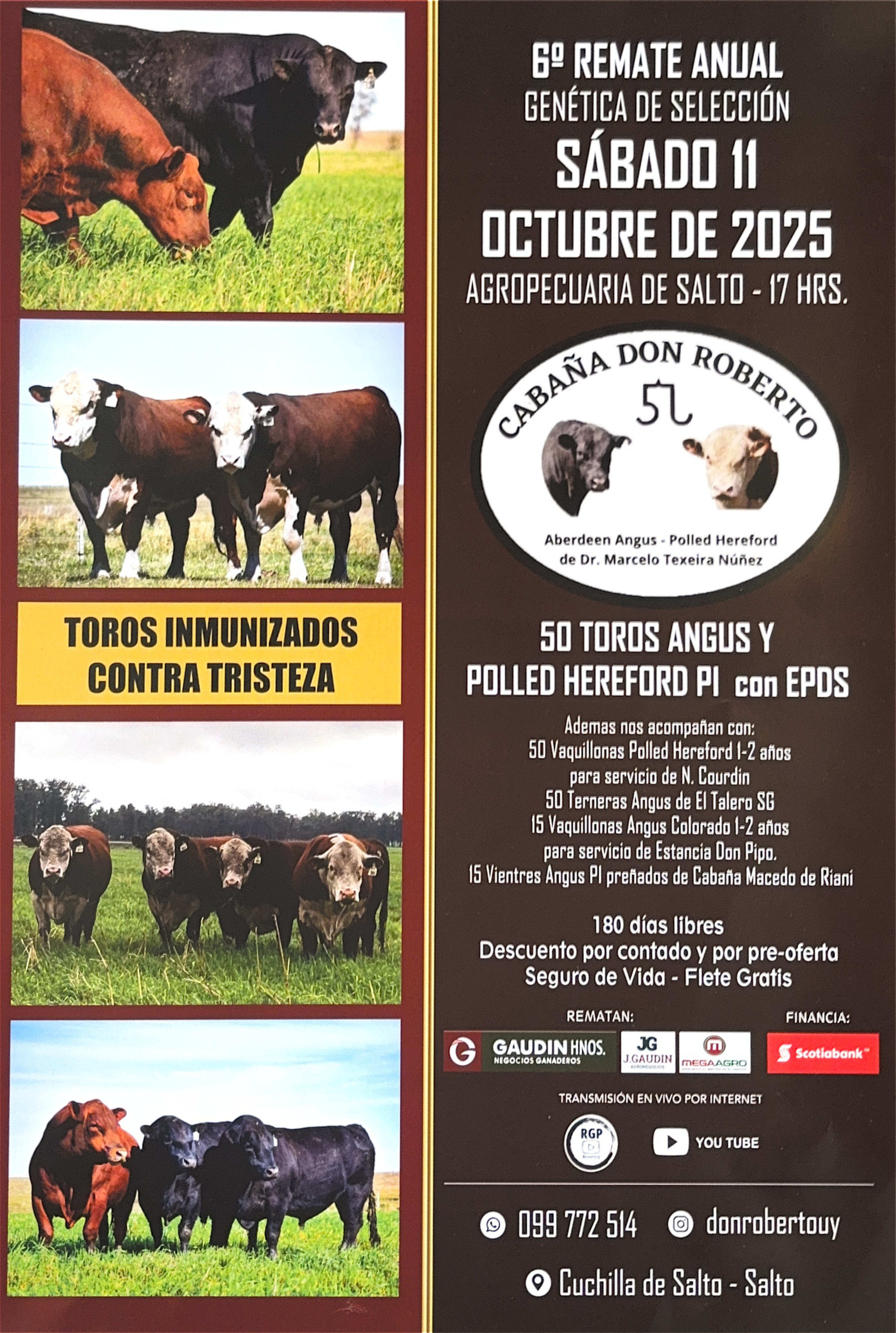 Remate Genetica de Seleccion
