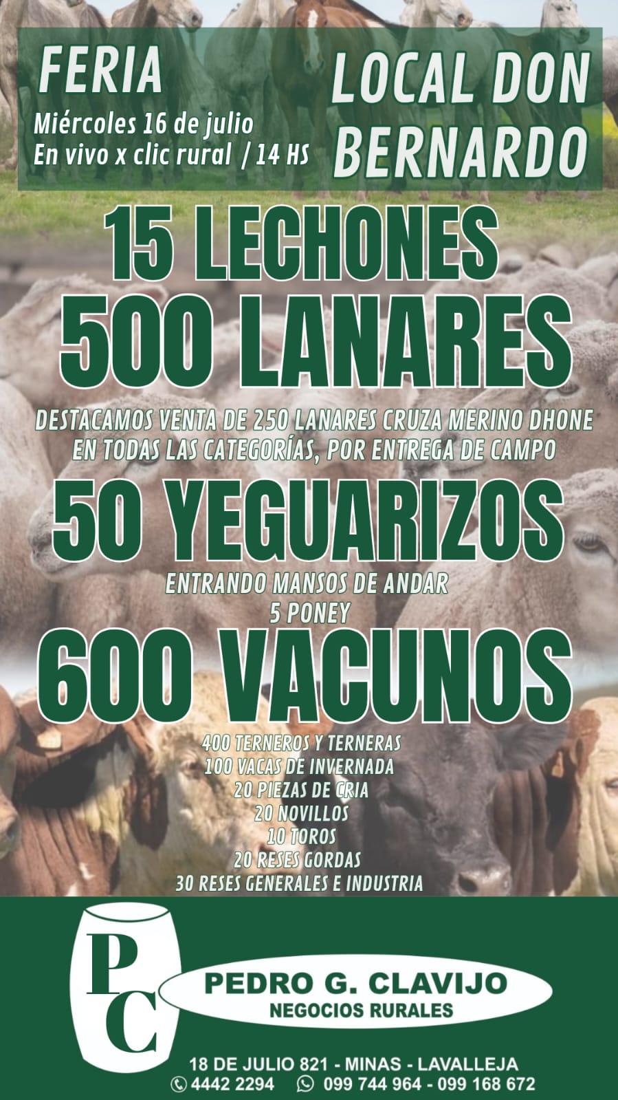 Afiche Feria mensual - Local Don Bernardo