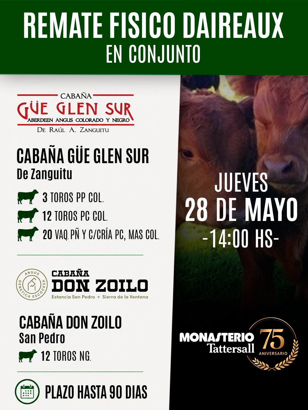 Afiche Físico Daireaux en conjunto con cabaña Gue Glen Sur de Zanguitu y cabaña Don Zoilo de San Pedro