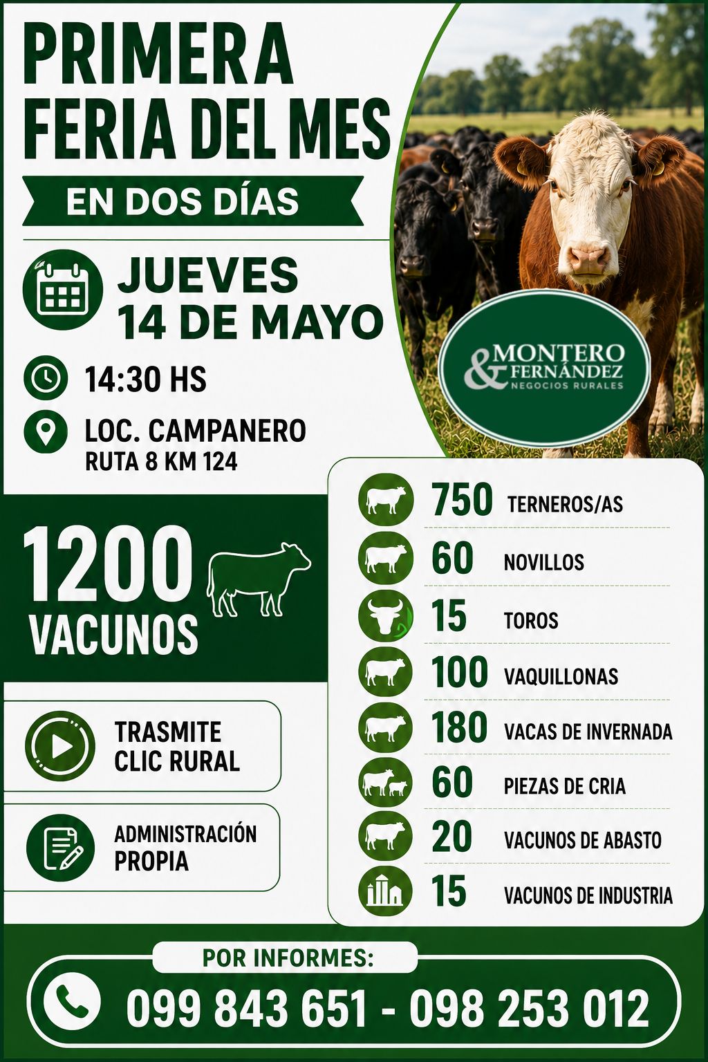 Primera feria del mes - Montero Fernandez