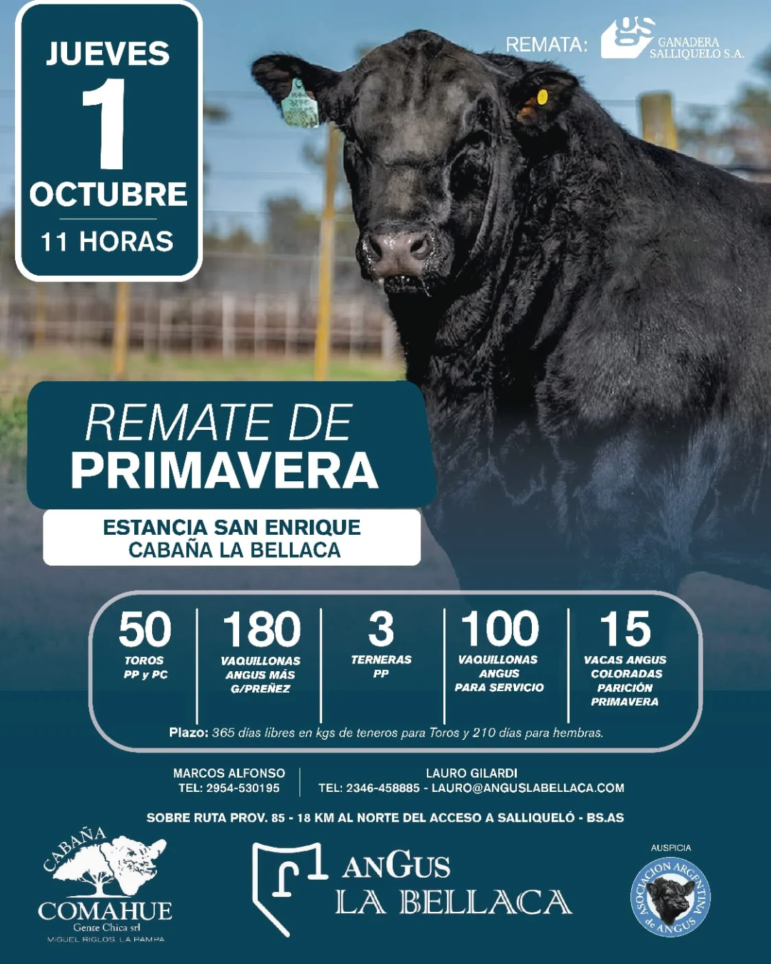 Afiche REMATE DE PRIMAVERA – ESTANCIA SAN ENRIQUE Y CABAÑA LA BELLACA