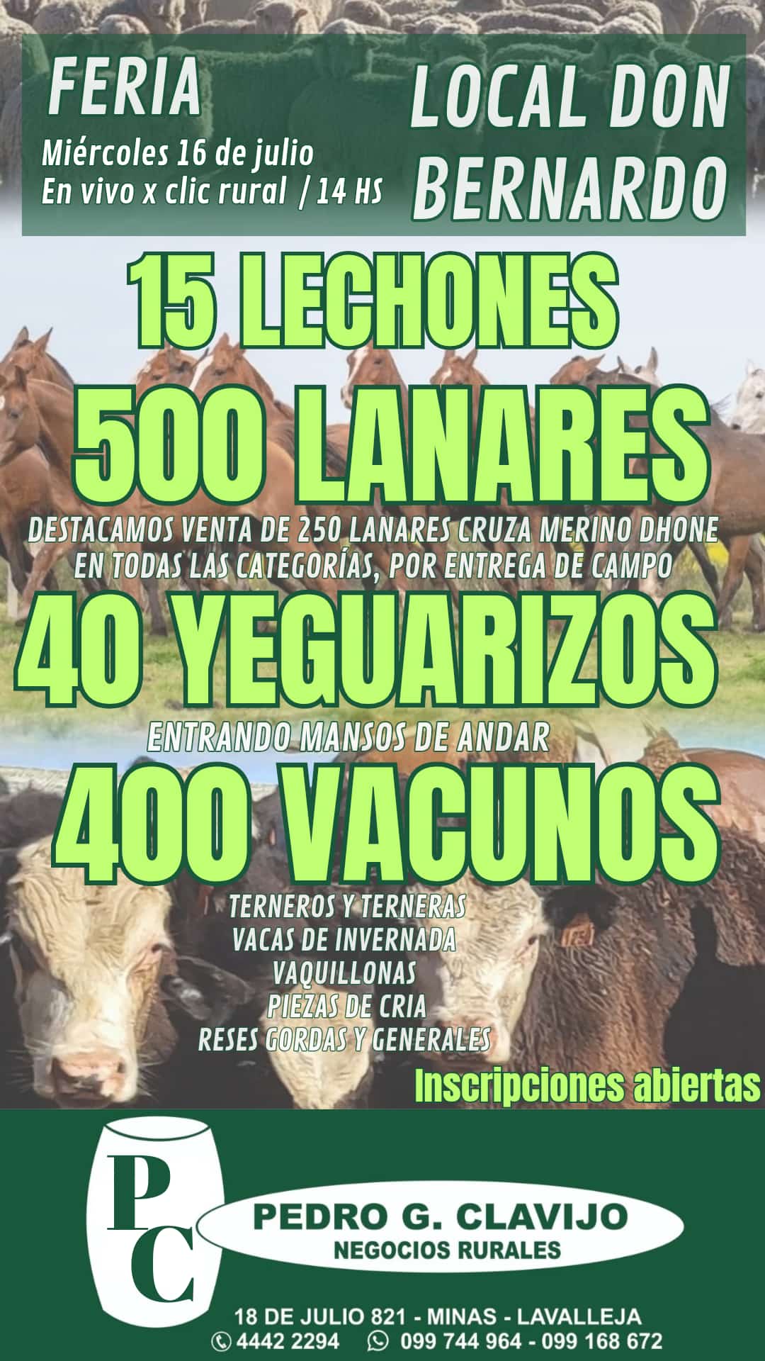Afiche Feria mensual - Local Don Bernardo