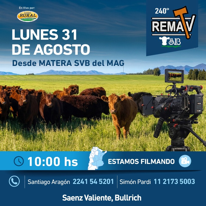 240° RematV