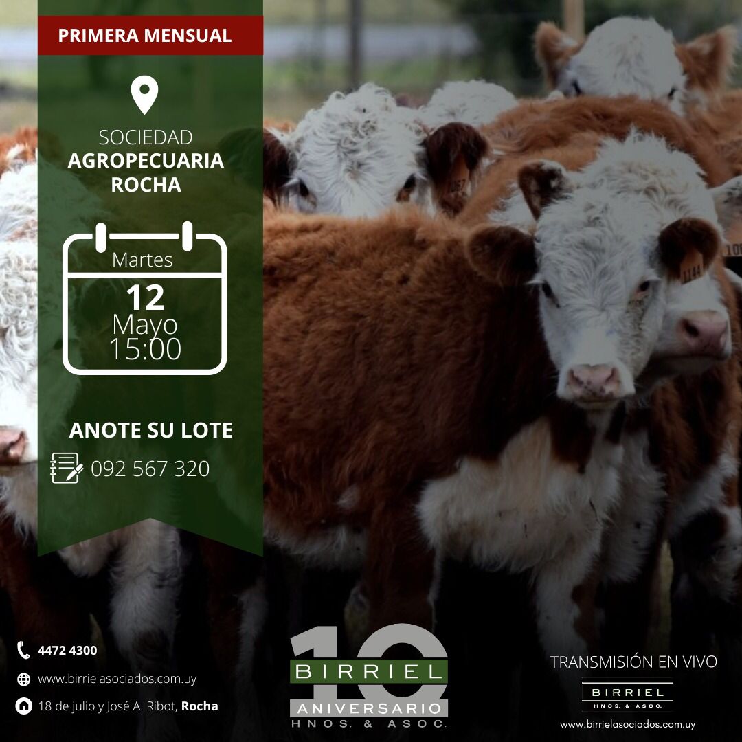 Remate 12 de Mayo - Sociedad Agropecuaria de Rocha
