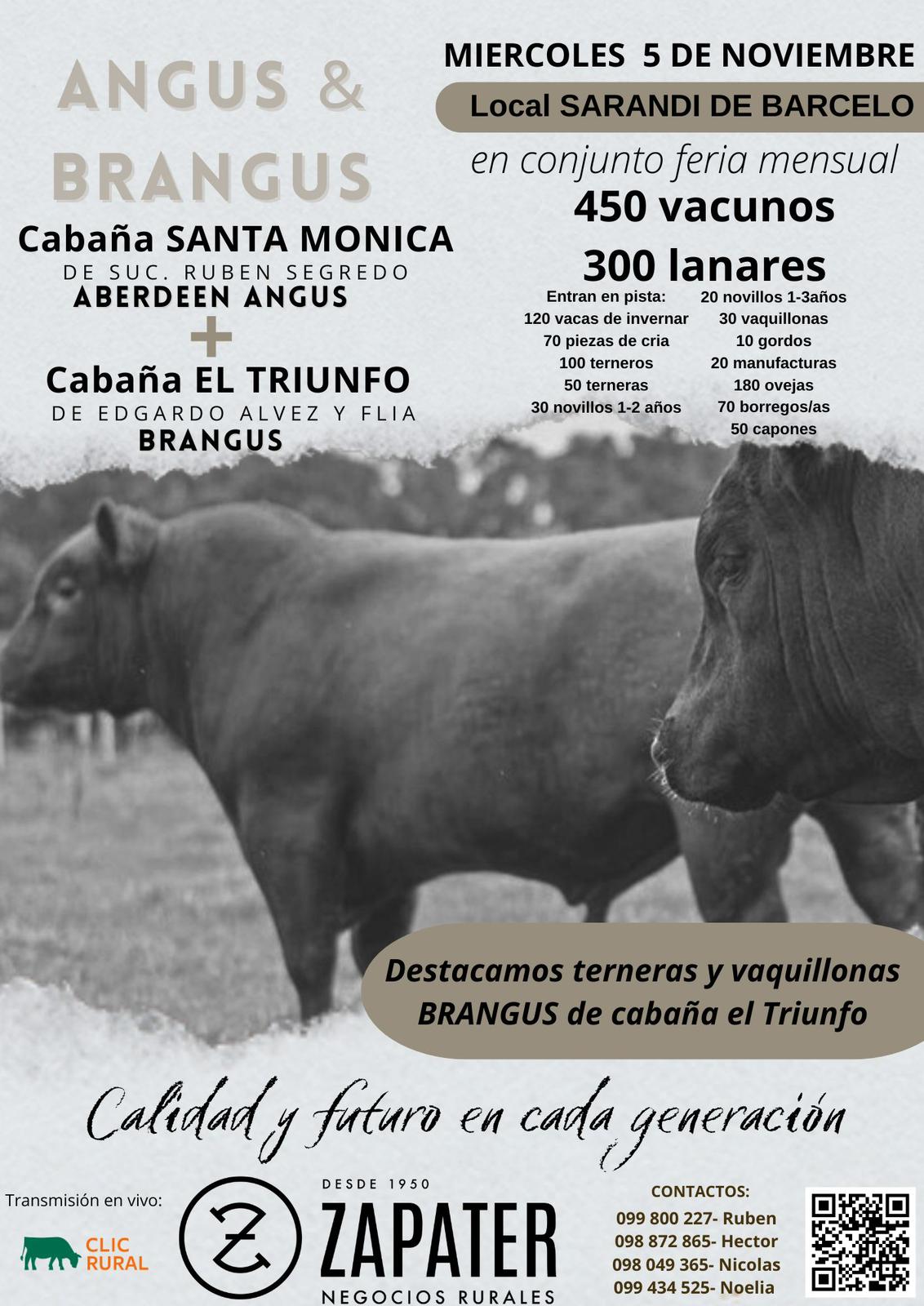 Remate Angus & Brangus