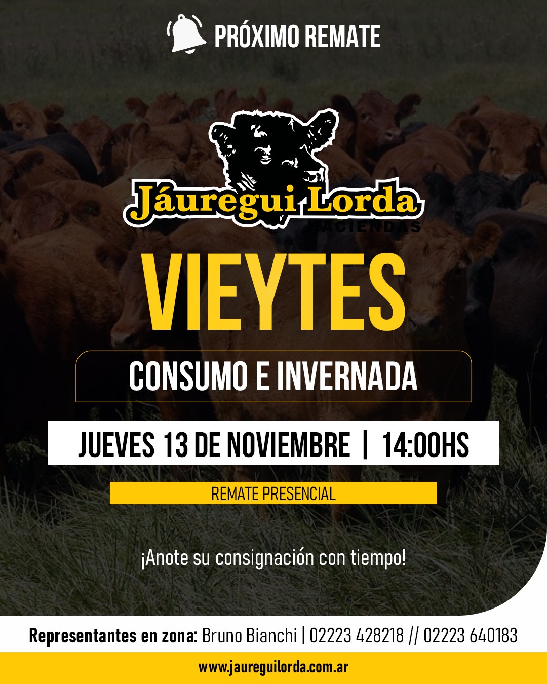 Remate 13 de Noviembre - Vieytes