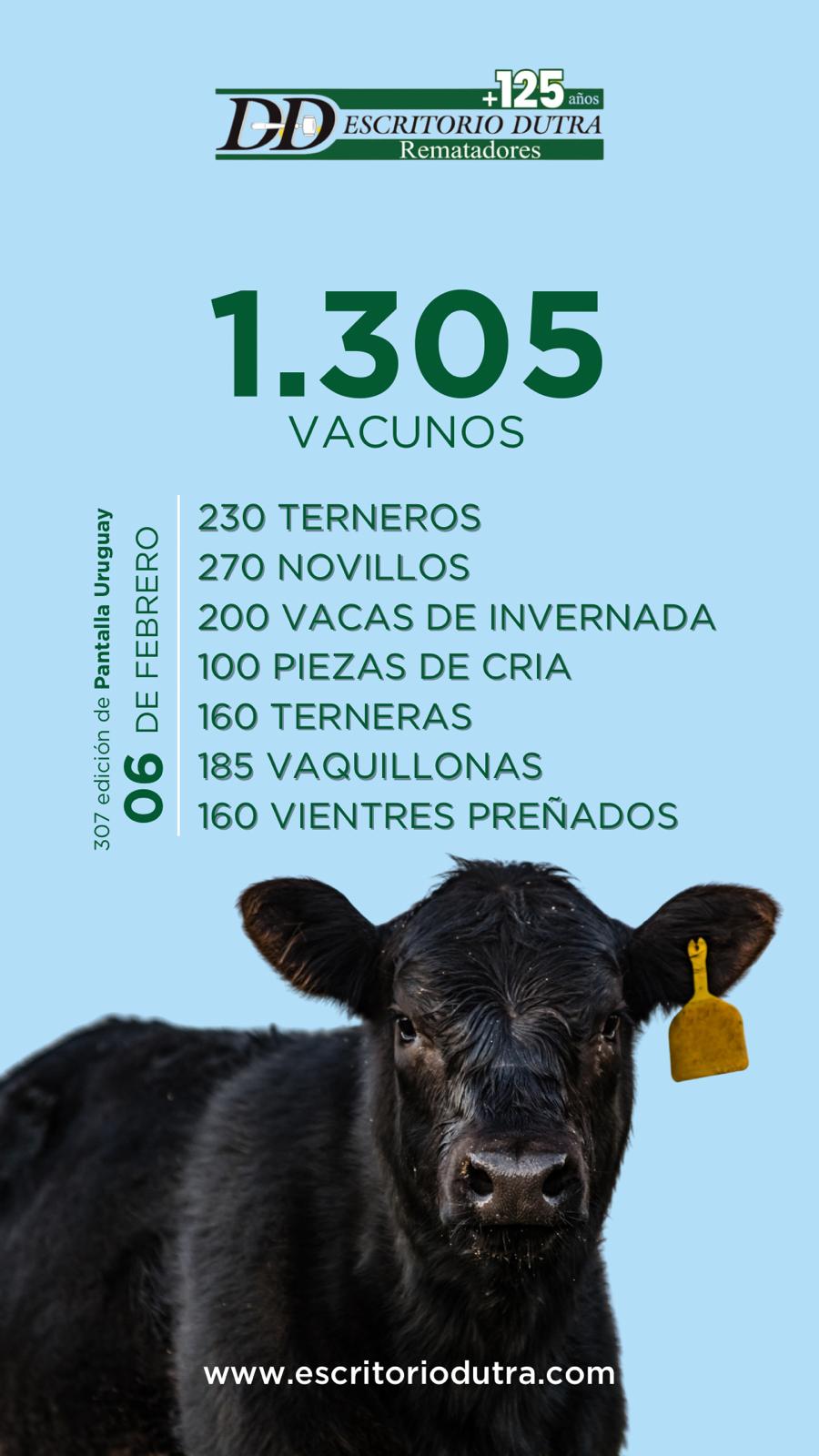 307º remate Pantalla Uruguay / Agro En Punta