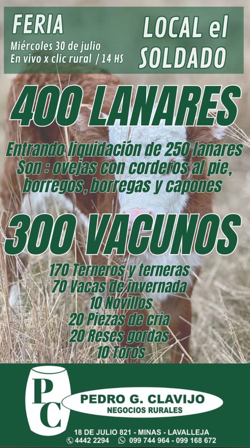 Afiche Feria mensual - Local El Soldado