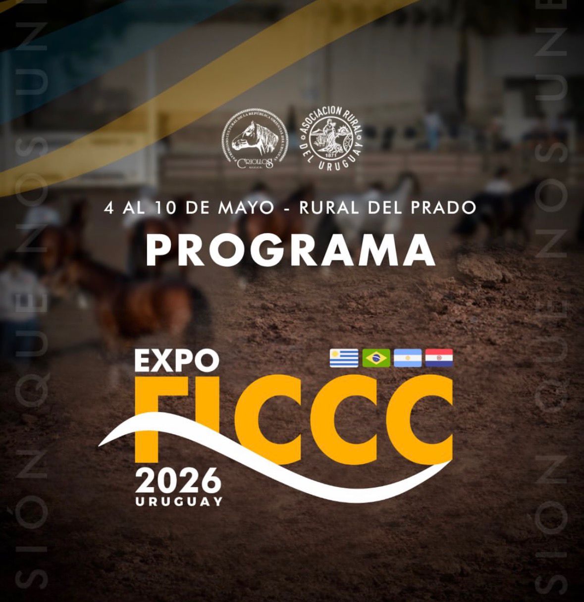 Expo Ficcc
