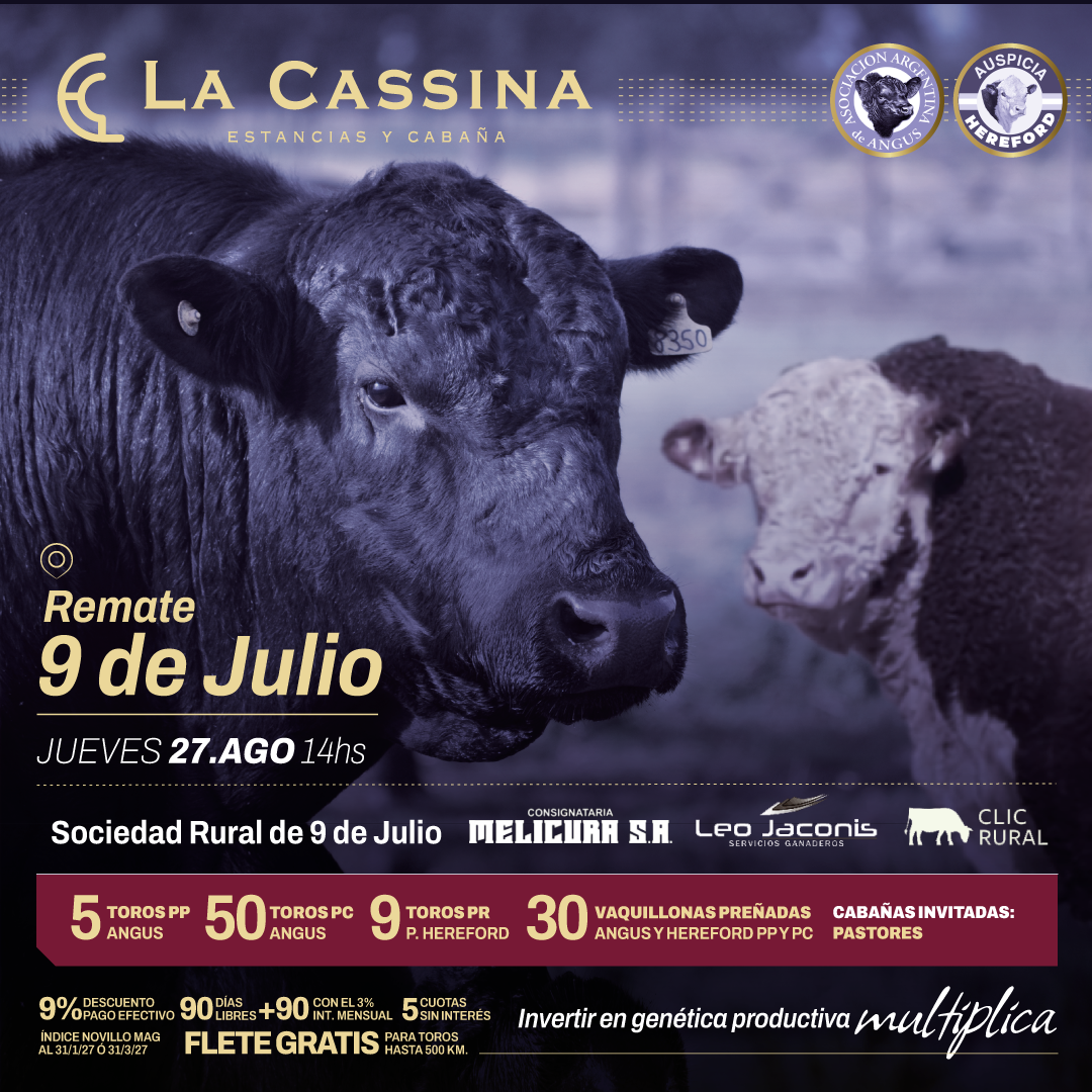 Afiche Remate 9 de Julio