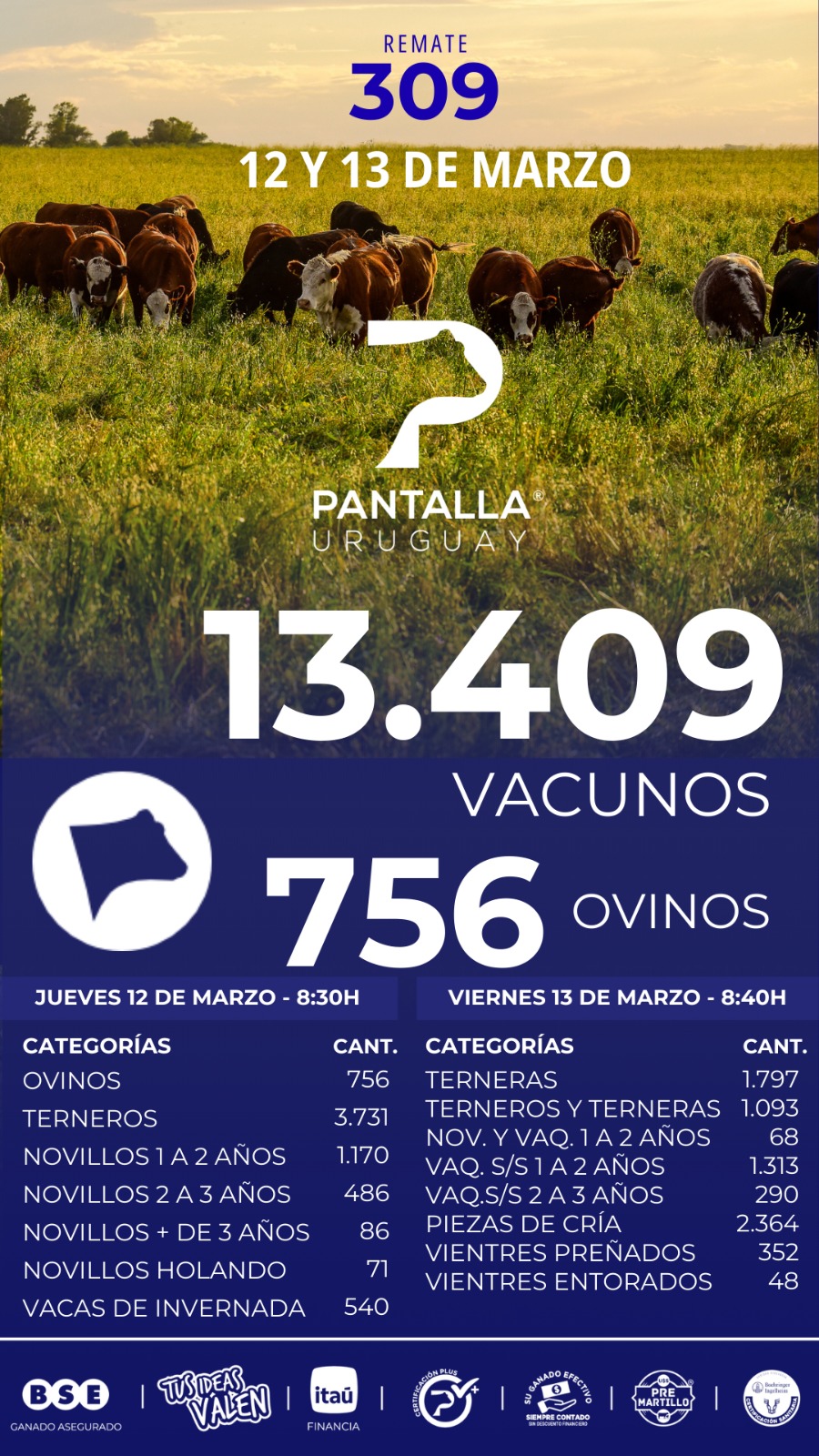 309º remate Pantalla Uruguay