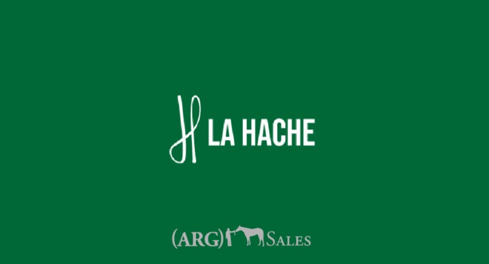 Afiche CRIA LA HACHE