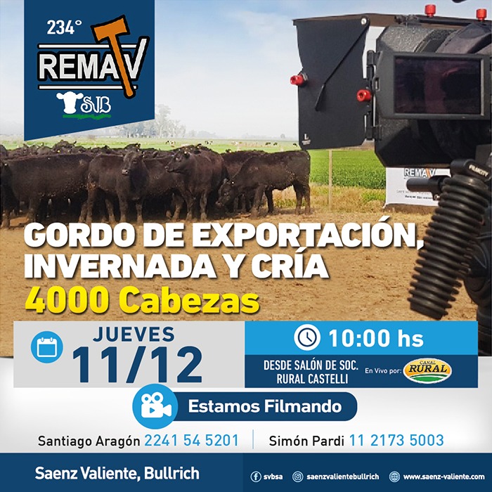 Remate 234° RematV