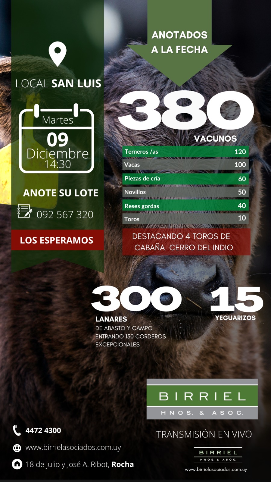 Remate Feria en San Luis