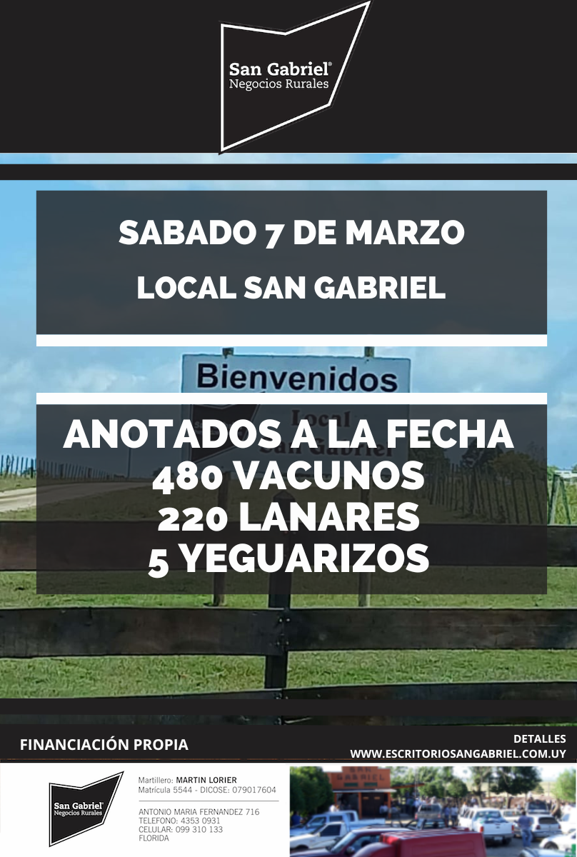 Feria en Local San Gabriel