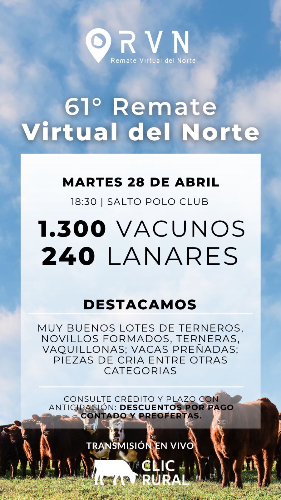 61º Remate Virtual del Norte