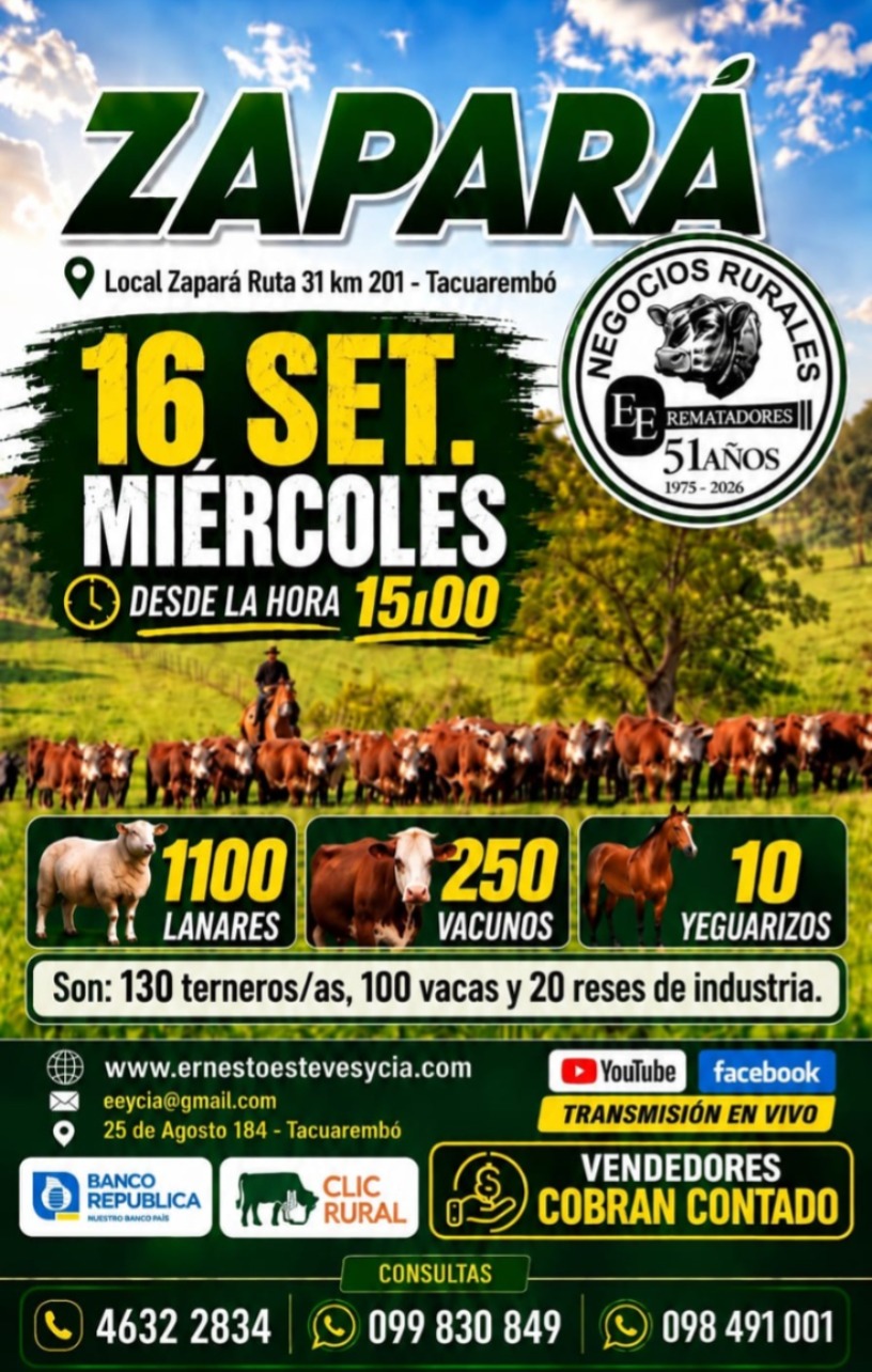 Afiche Feria mensual - Zapará