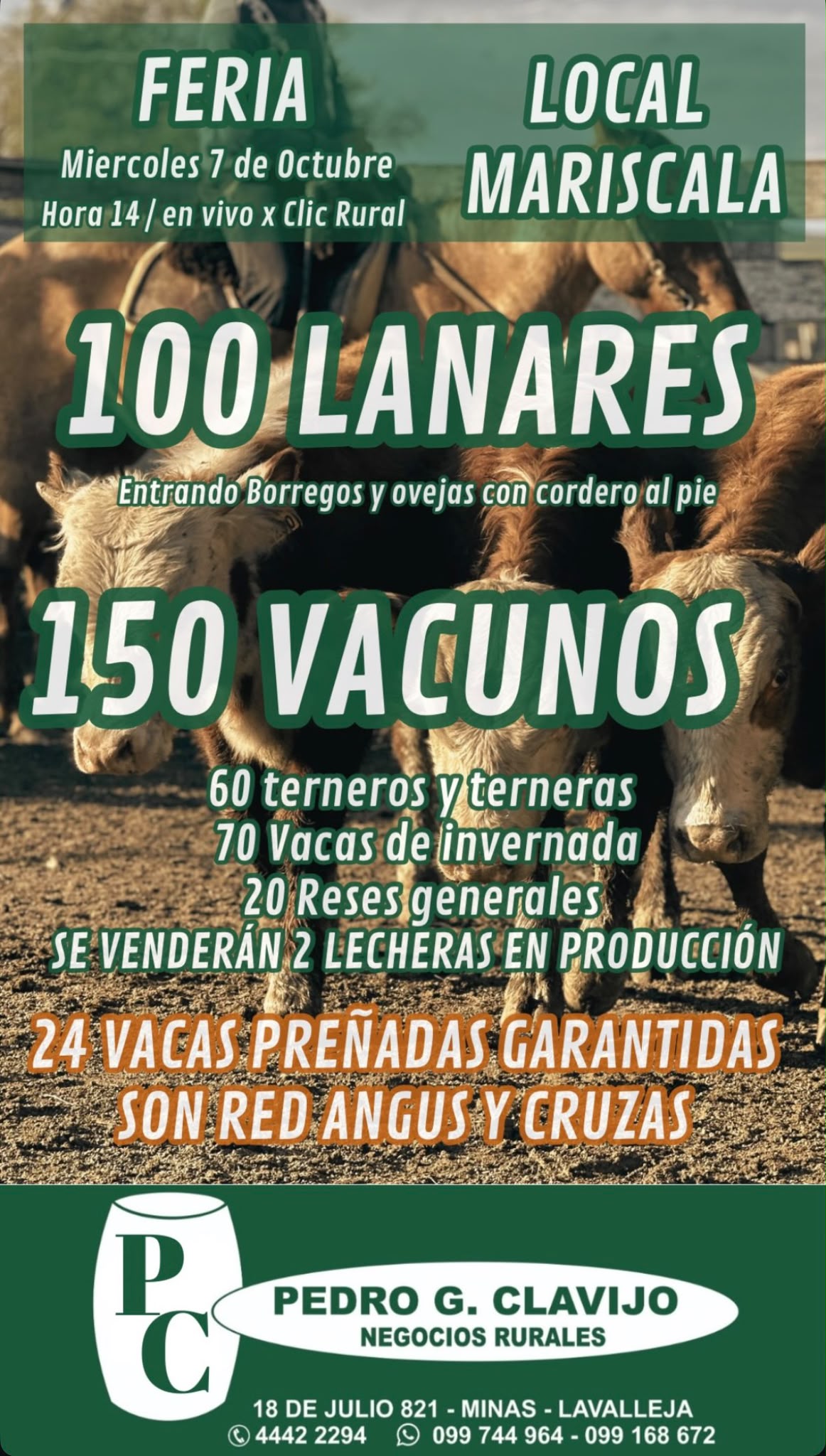 Afiche Feria mensual - Pedro G Clavijo