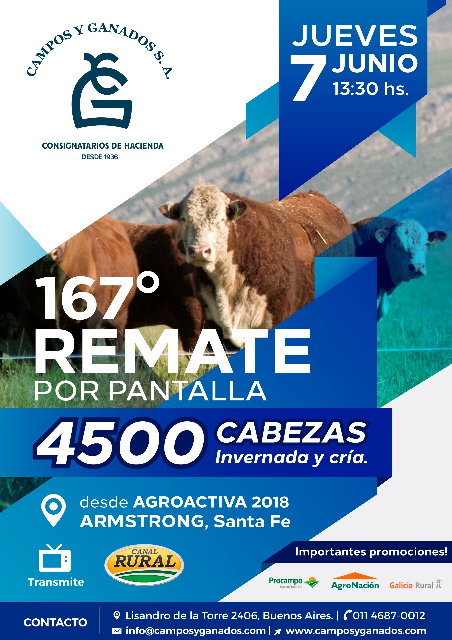 Afiche 167 remate Televisado