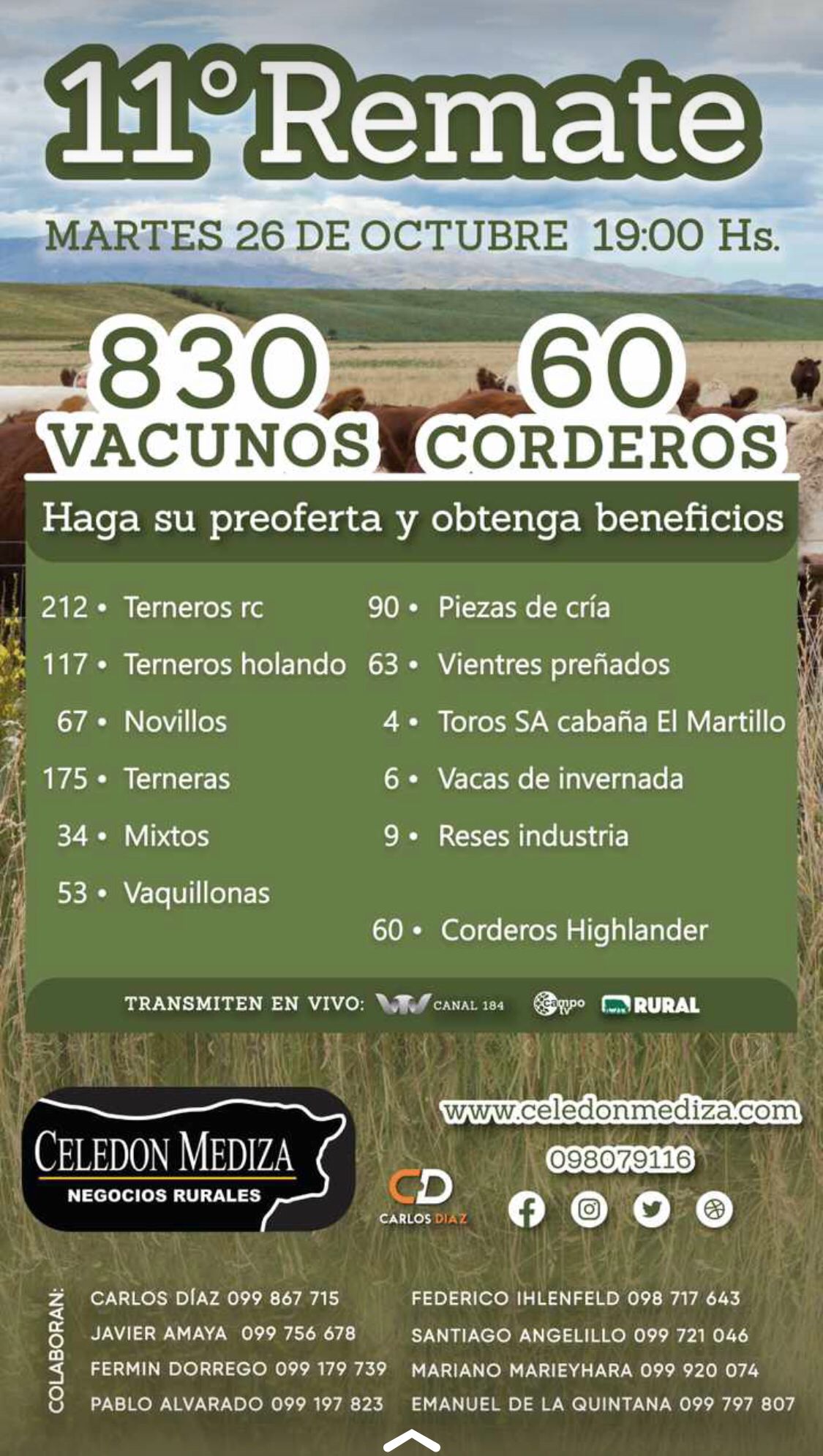 Afiche #11 Remate de Pantalla