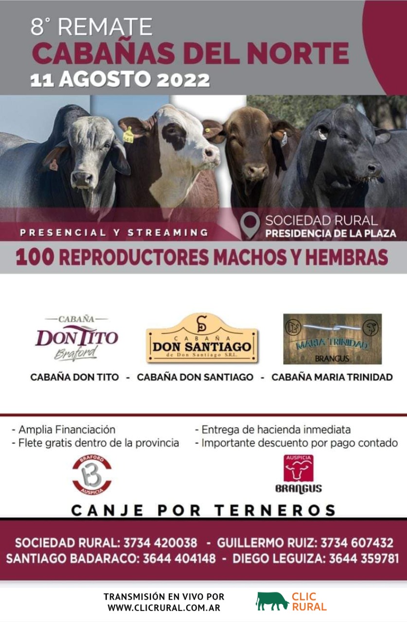 Afiche 8° Remate Cabañas del Norte