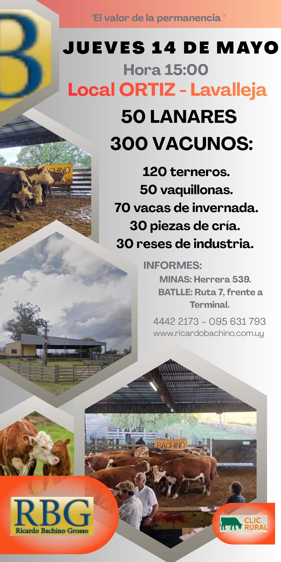 14 DE MAYO - Local Ortiz