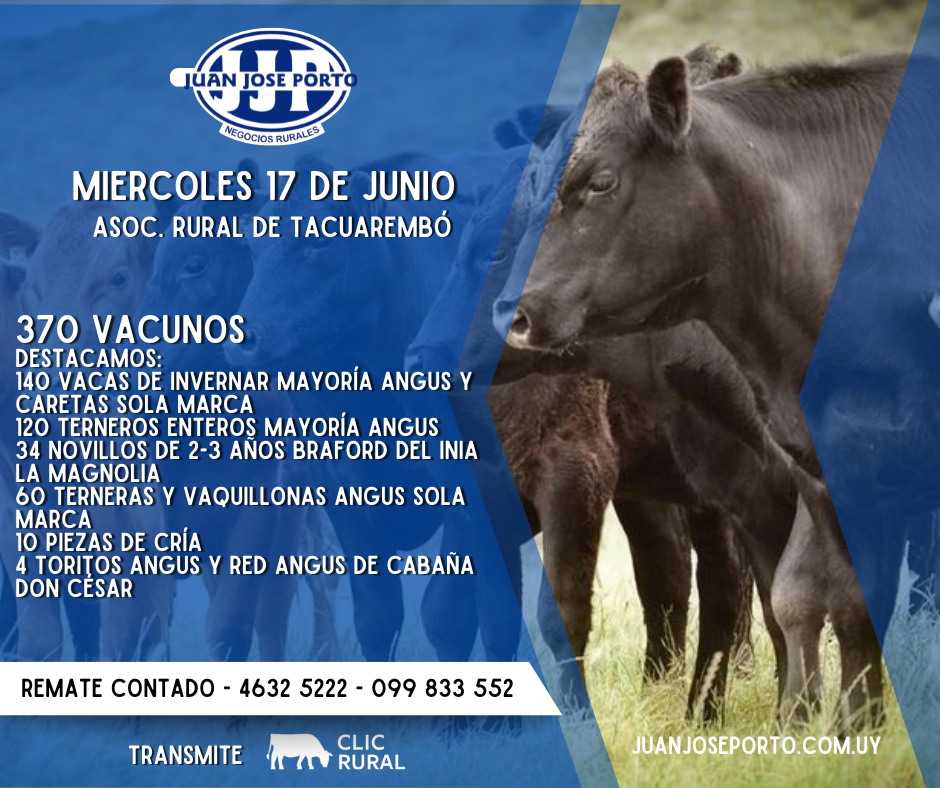 Feria mensual - Juan Jose Porto