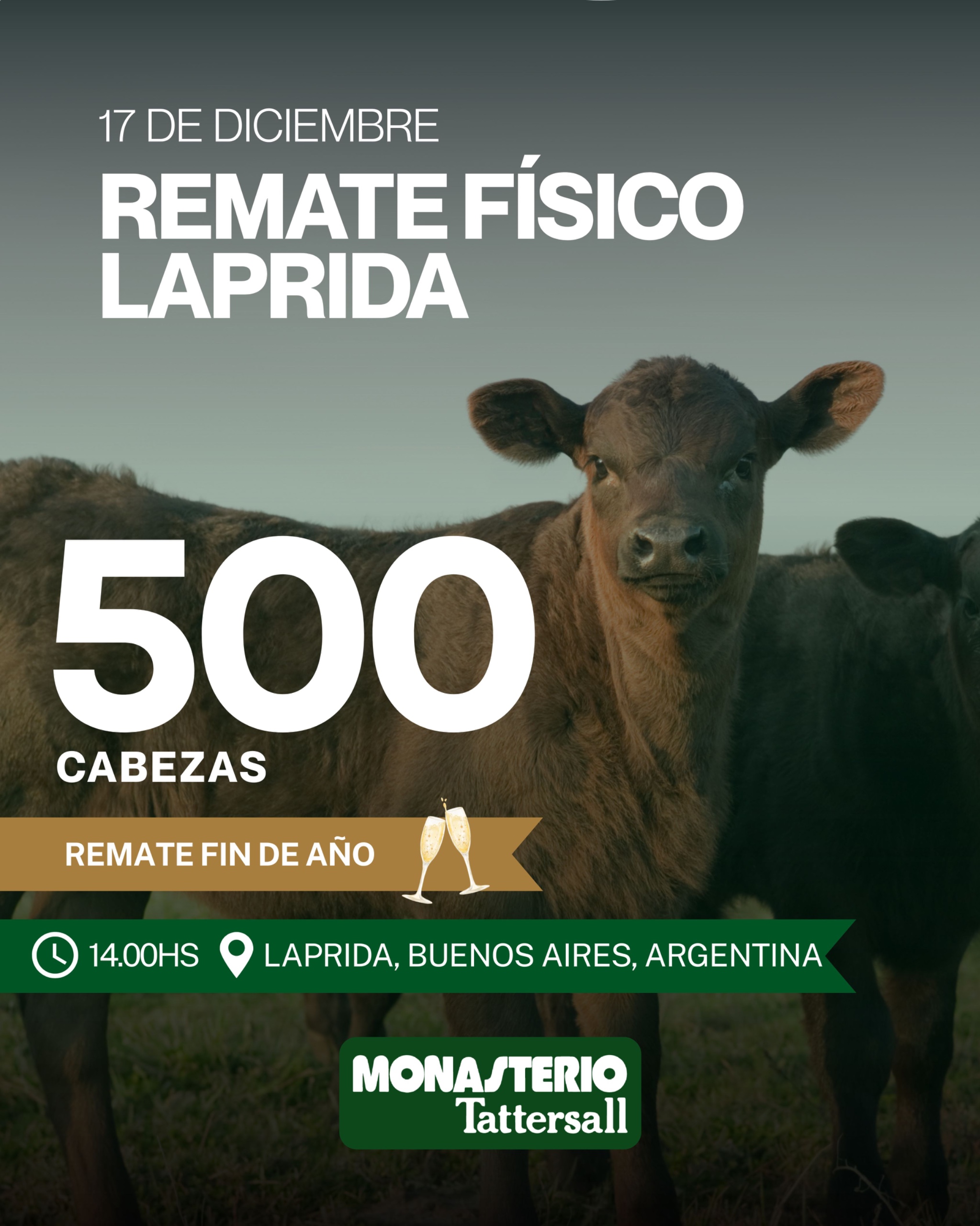 Remate Fisico Laprida