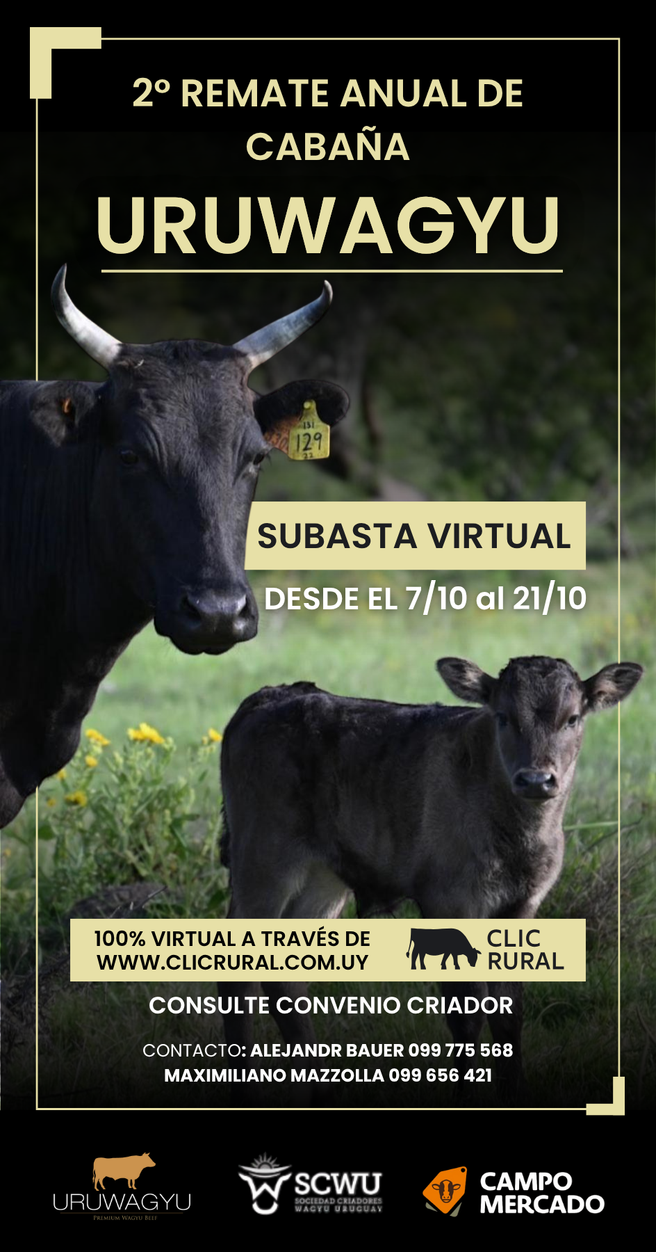 Afiche Subasta Virtual Cabaña Uruwagyu