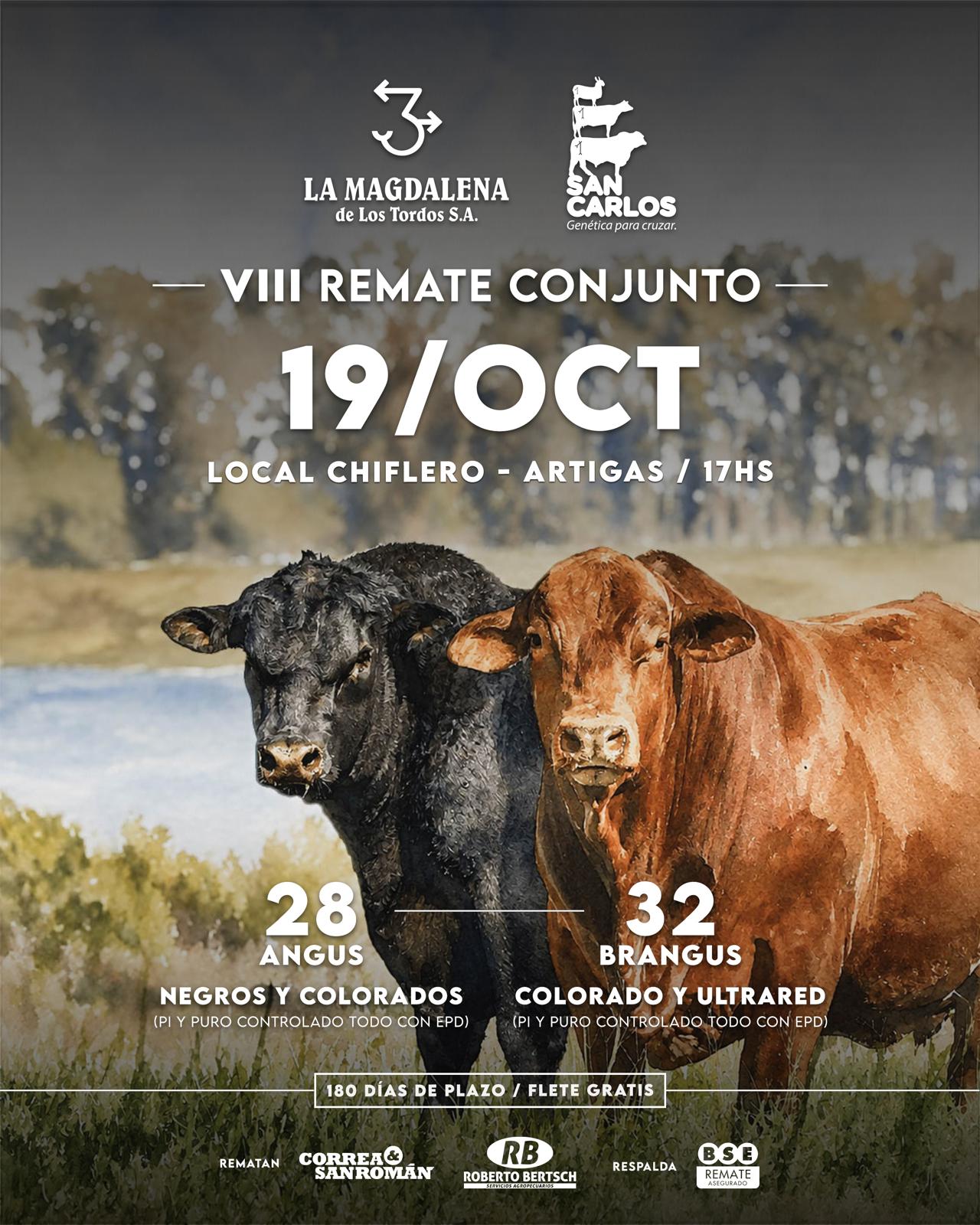 Afiche VIII Remate Conjunto La Magdalena y San Carlos