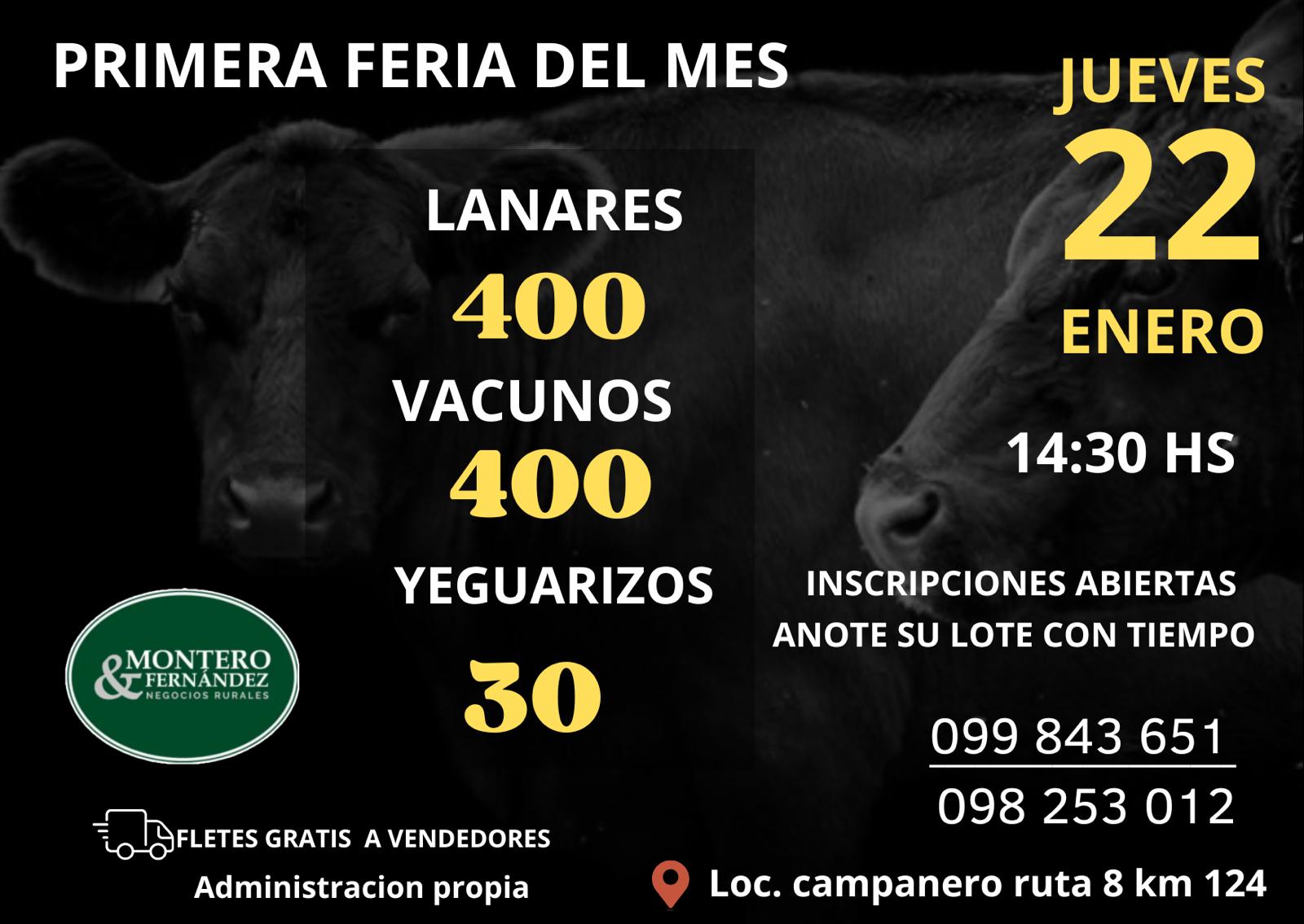 Afiche Feria Mensual - Montero Fernandez