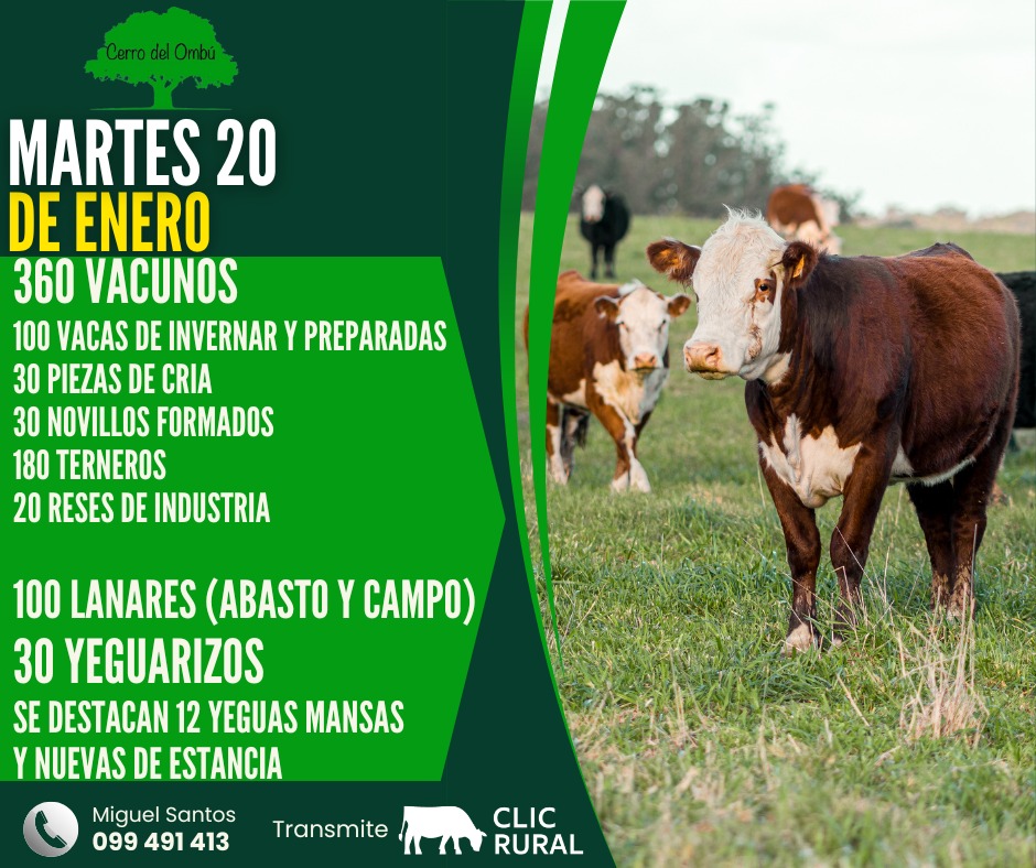 Afiche Feria mensual - Cerro del Ombu