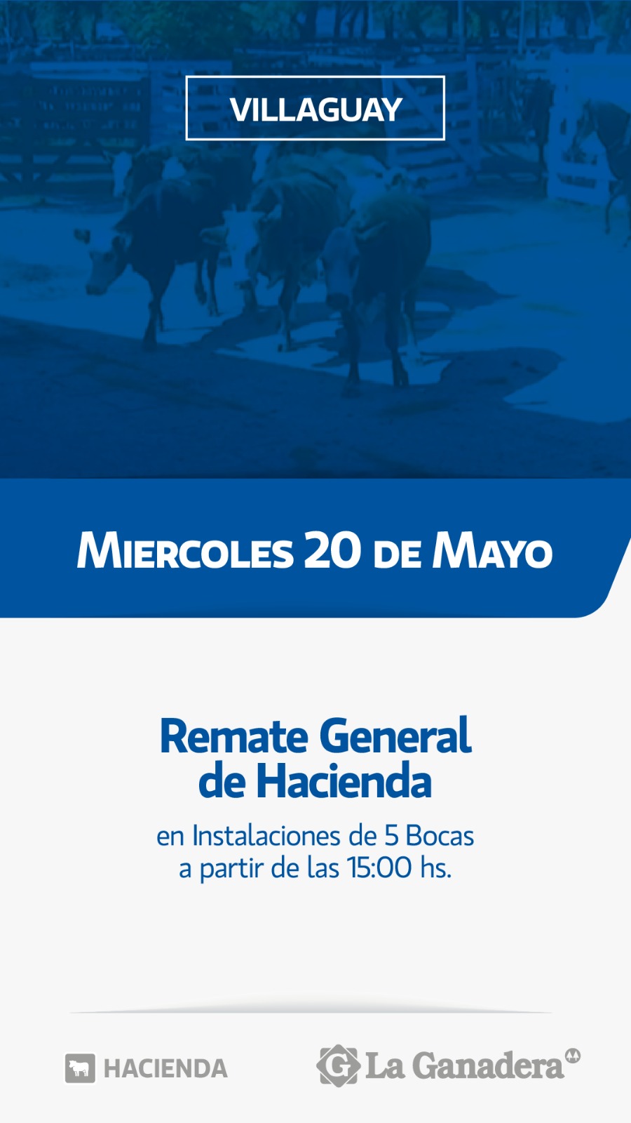 Remate REMATE FERIA 5 BOCAS - PASO DE LA LAGUNA