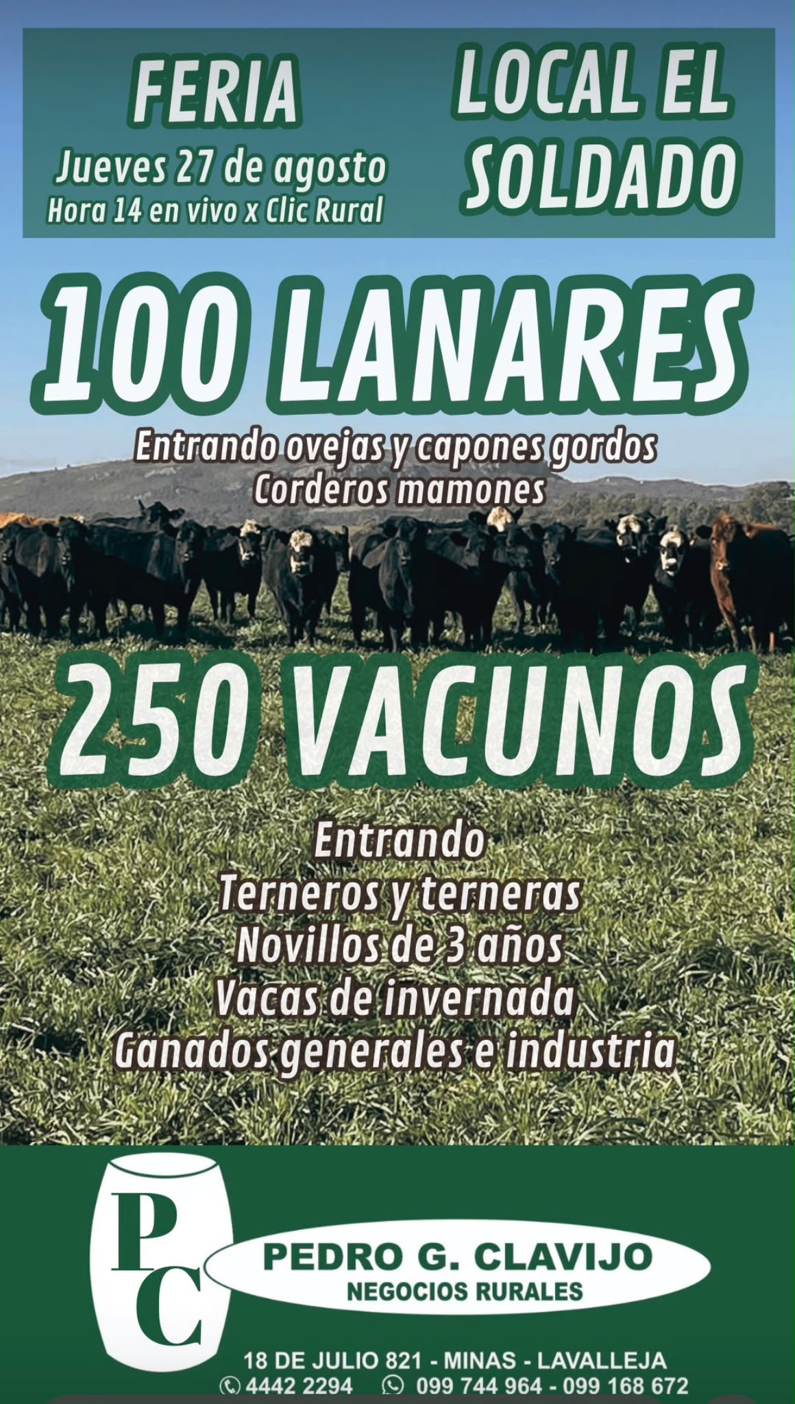 Afiche Feria mensual - Pedro G Clavijo
