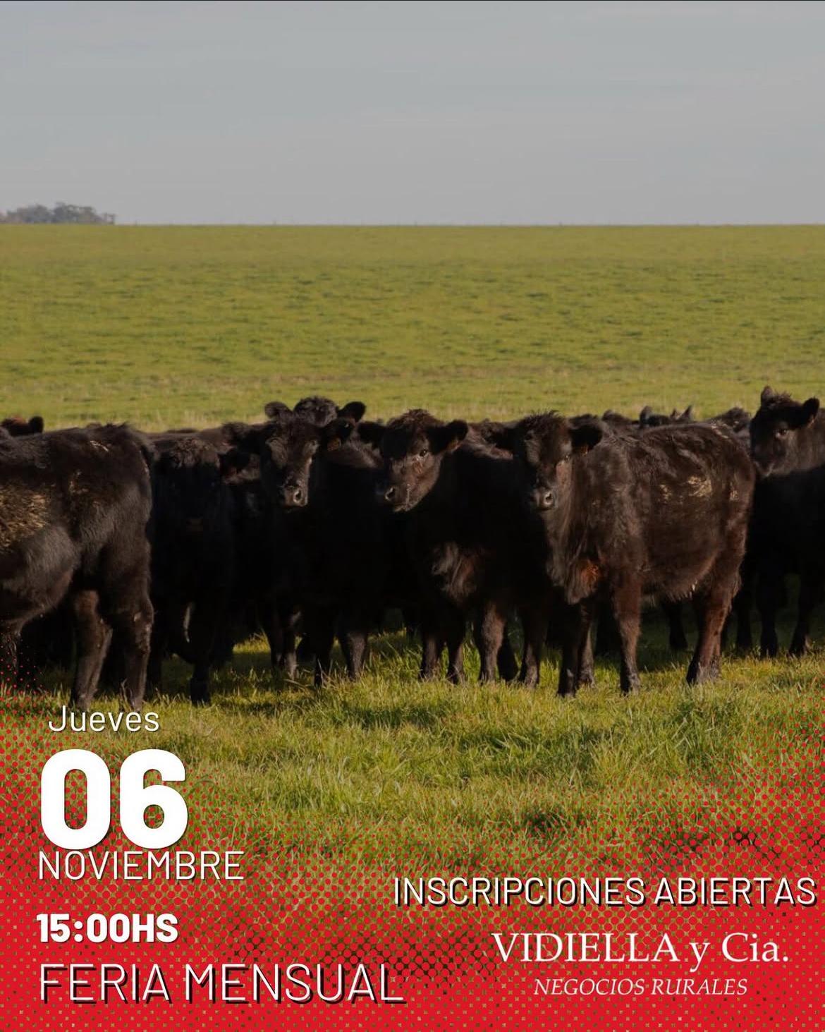 Feria Mensual - Vidiella y Cia