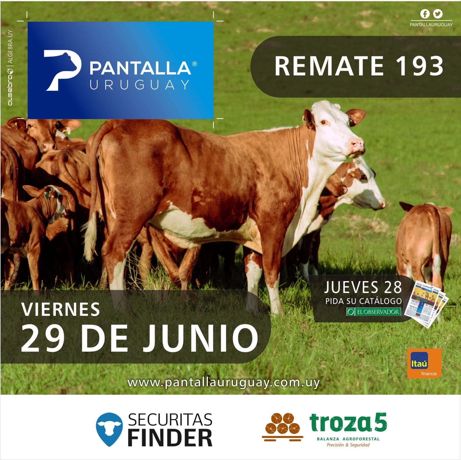 Afiche 193 remate de Pantalla Uruguay