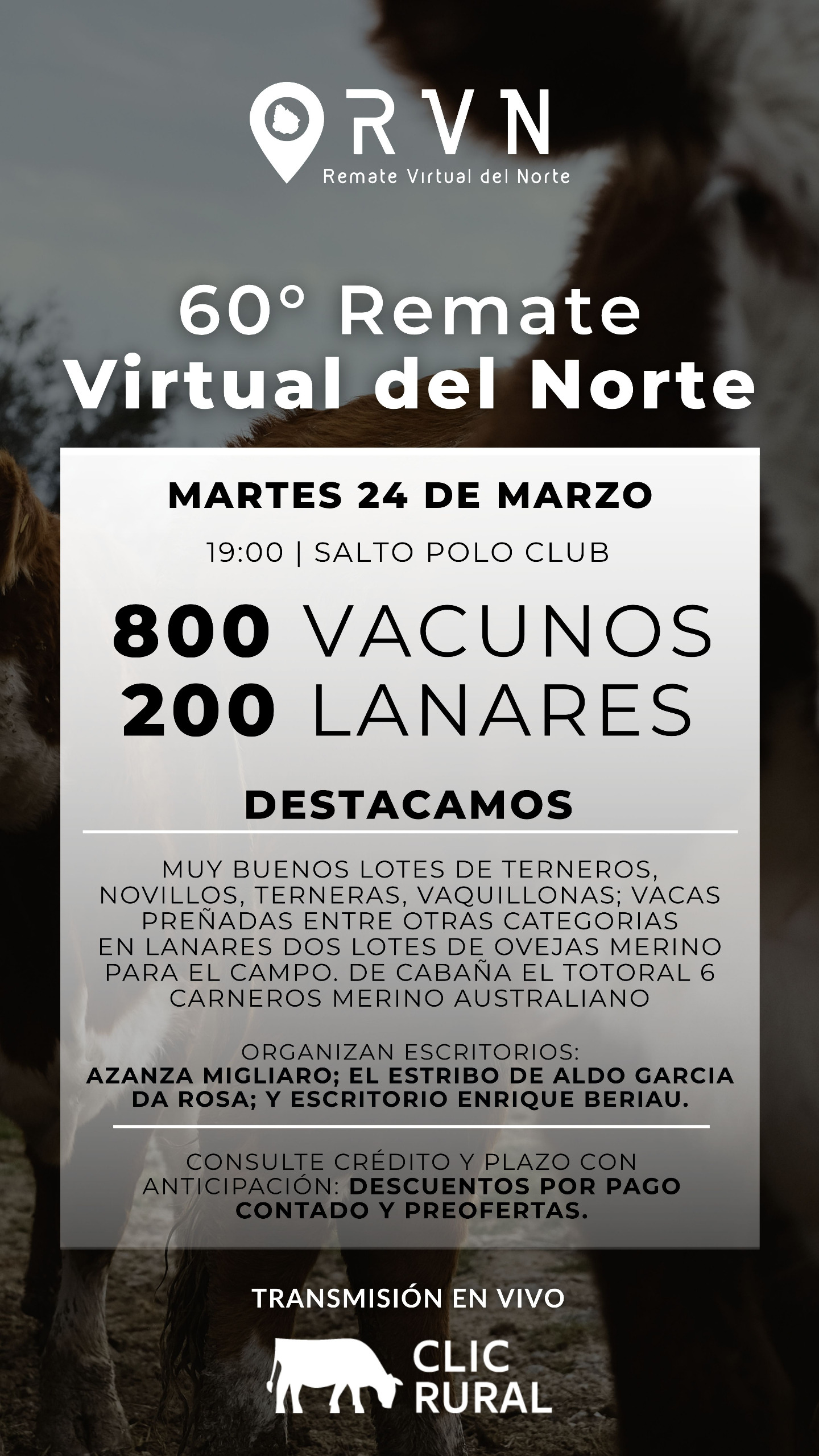 Remate 60º Remate Virtual del Norte