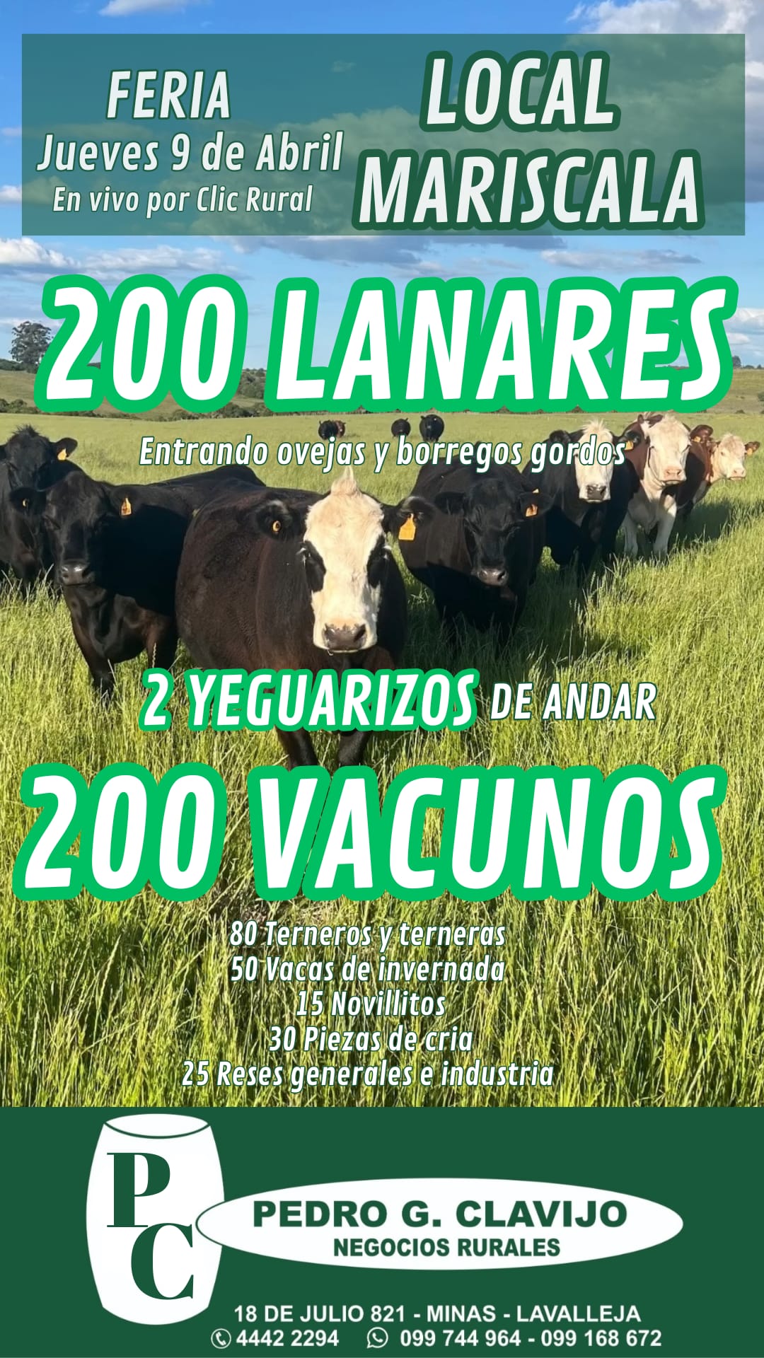 Feria - Pedro G Clavijo