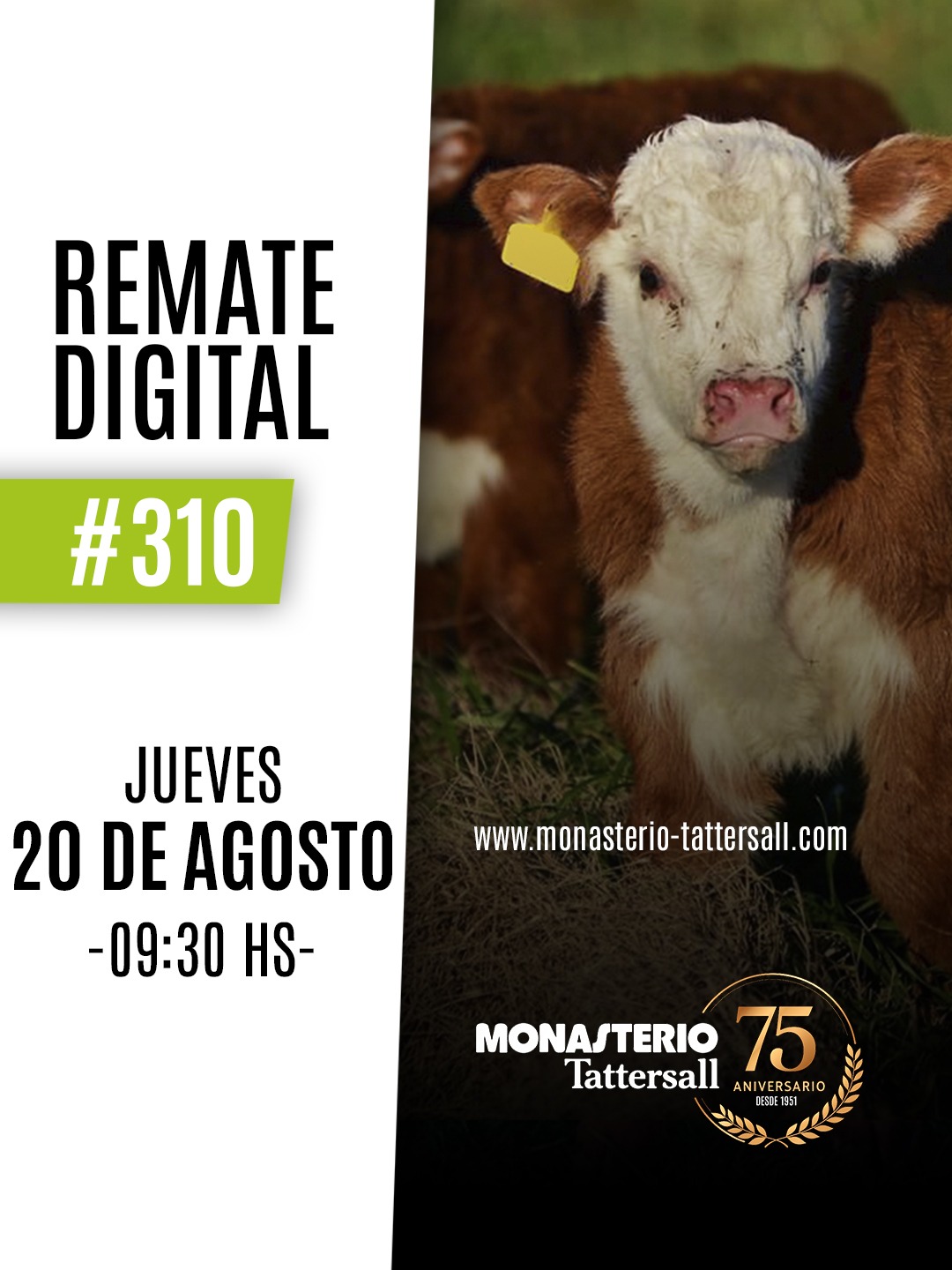 Remate Remate digital 310°